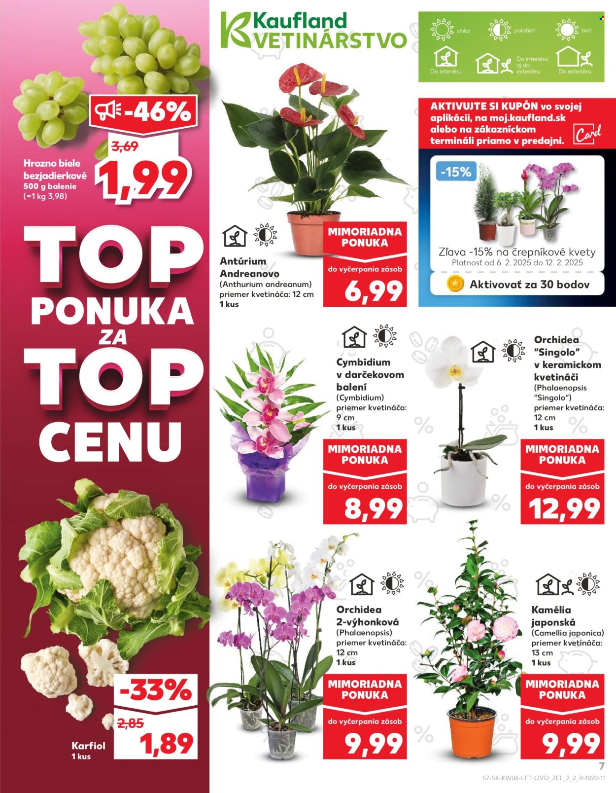 Leták Kaufland - 6.2.2025 - 12.2.2025. Strana 7