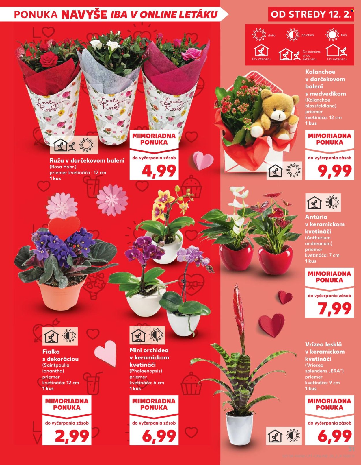 Leták Kaufland - 6.2.2025 - 12.2.2025. Strana 31
