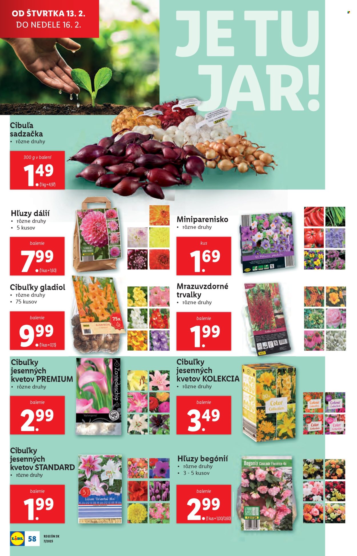 Leták Lidl - 10.2.2025 - 16.2.2025. Strana 66