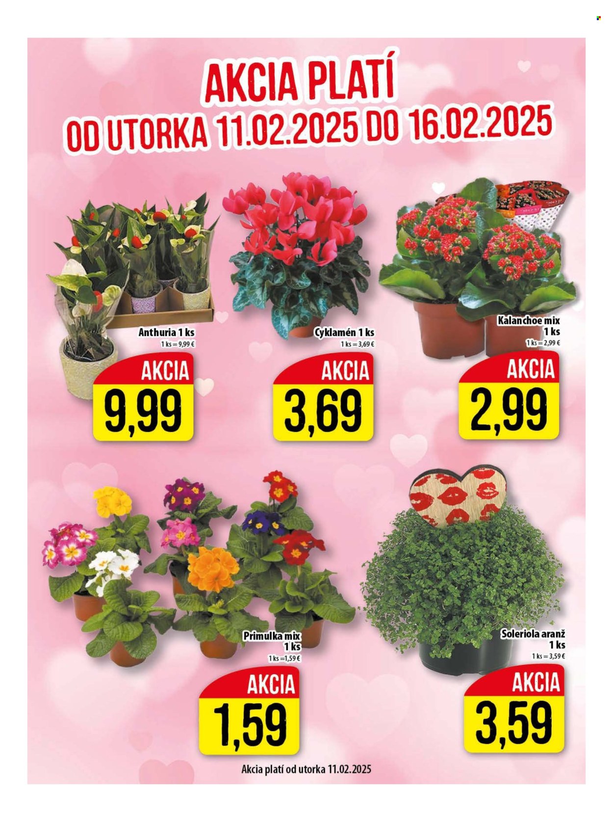 Leták Klas - 10.2.2025 - 16.2.2025. Strana 9