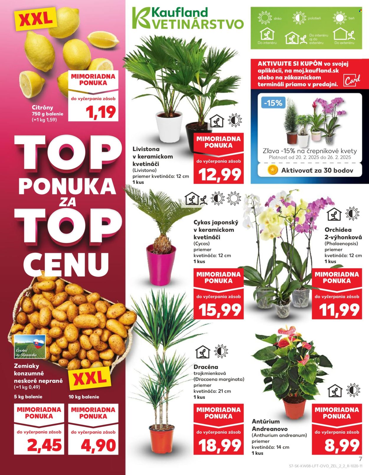 Leták Kaufland - 20.2.2025 - 26.2.2025. Strana 7