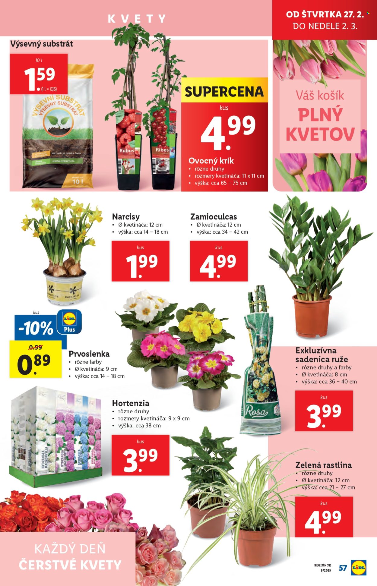 Leták Lidl - 24.2.2025 - 2.3.2025. Strana 57