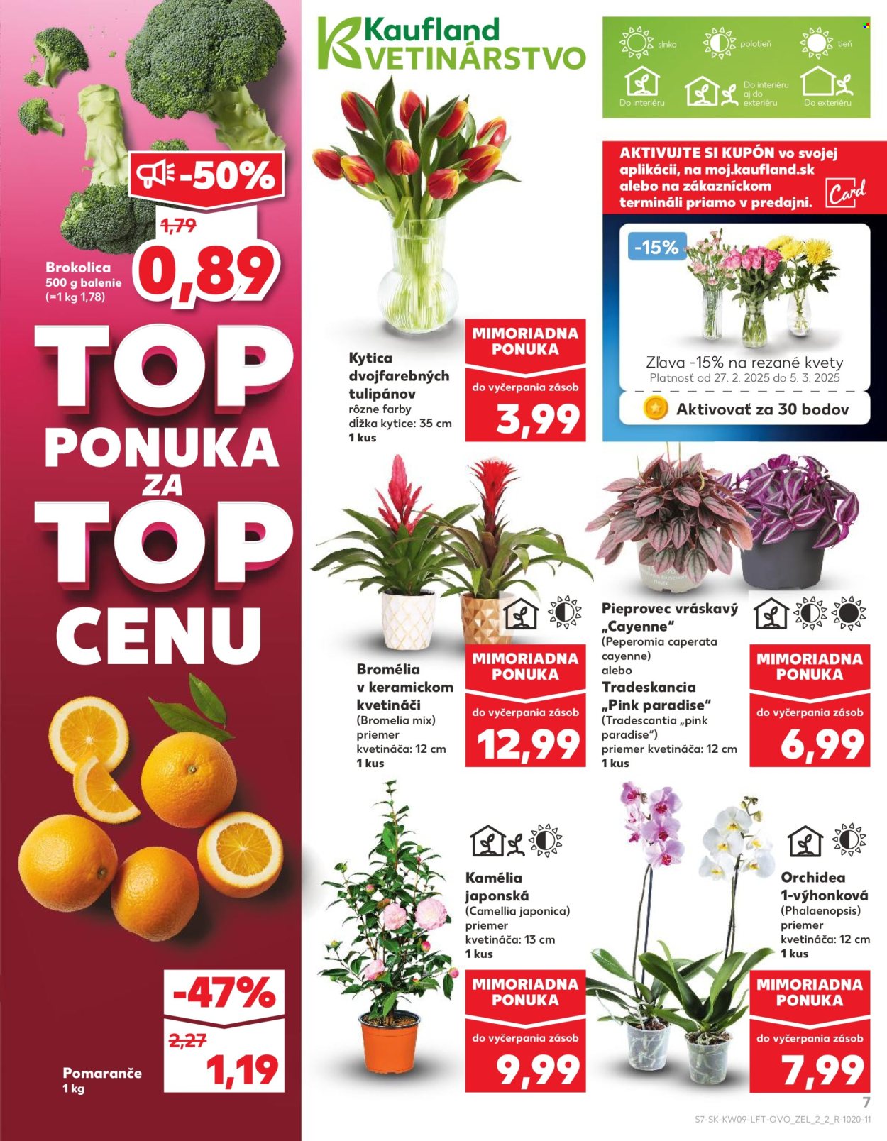 Leták Kaufland - 27.2.2025 - 5.3.2025. Strana 7
