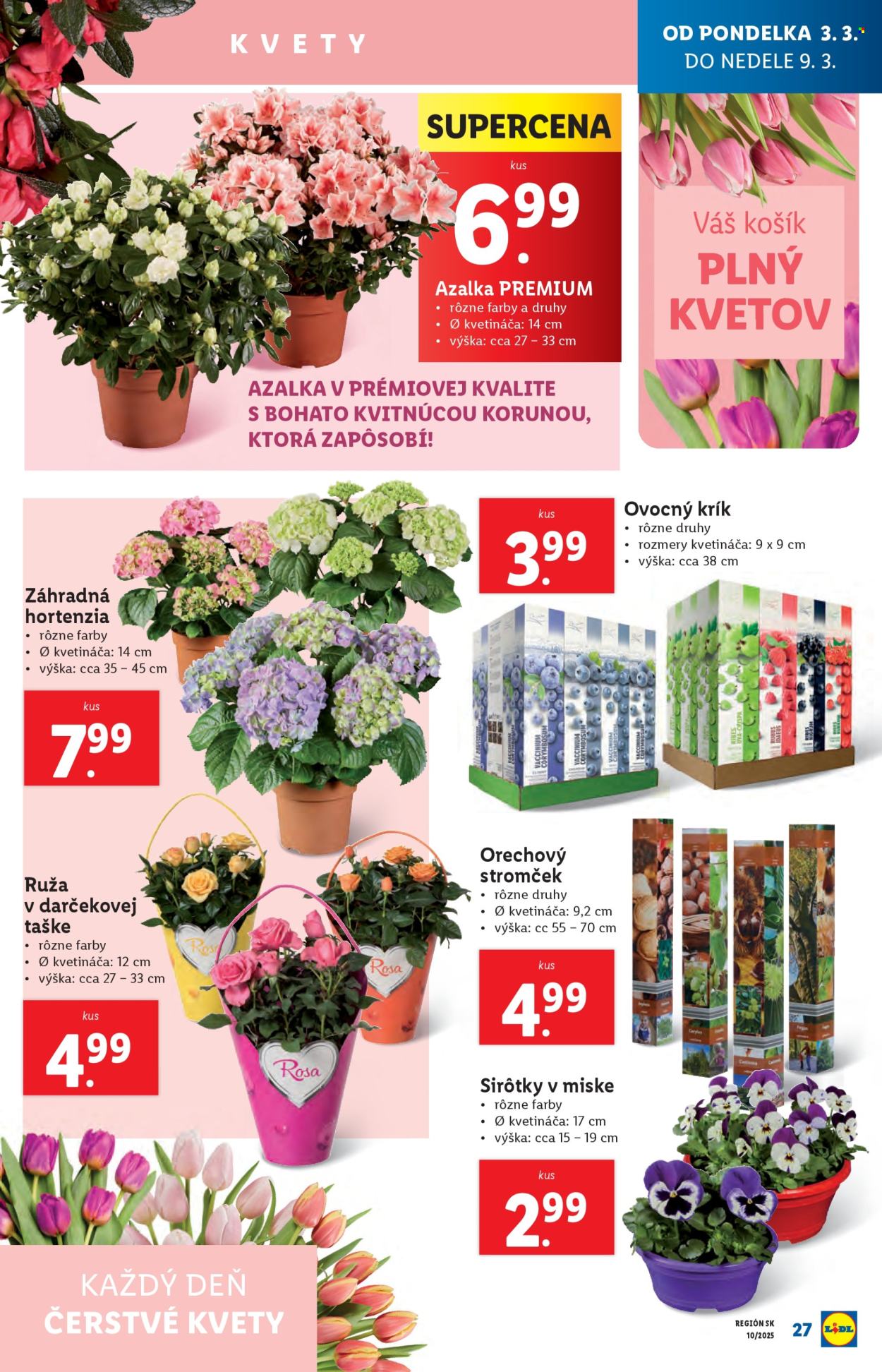 Leták Lidl - 3.3.2025 - 9.3.2025. Strana 29