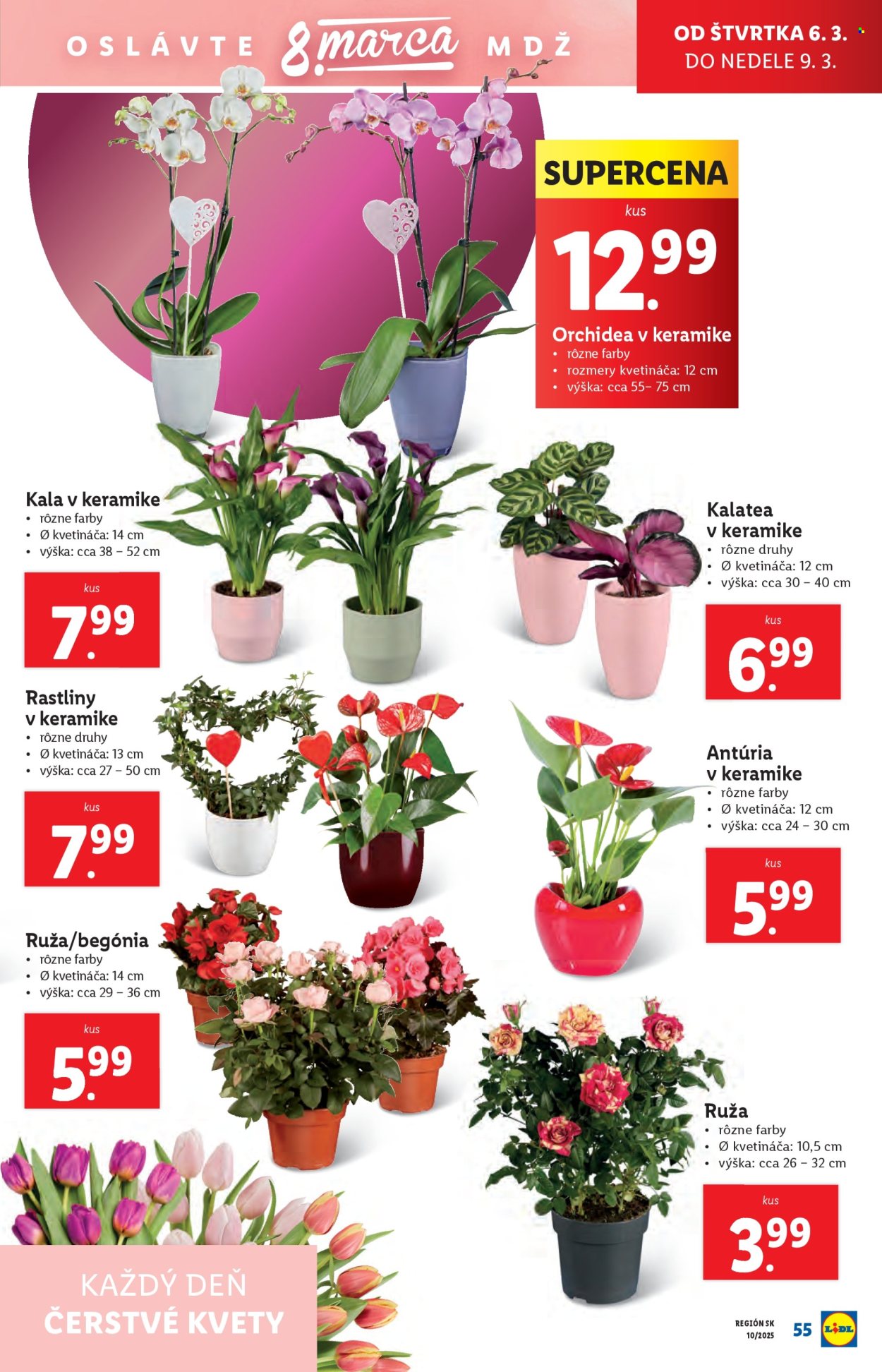 Leták Lidl - 3.3.2025 - 9.3.2025. Strana 59