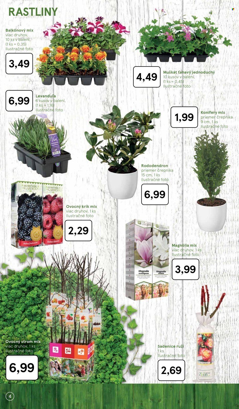 Leták TESCO hypermarket - 4.3.2025 - 24.3.2025. Strana 4