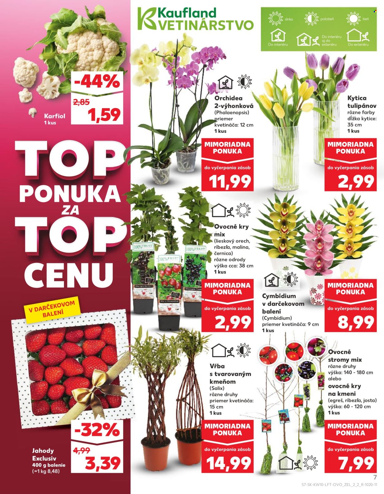 Leták Kaufland - 6.3.2025 - 12.3.2025. Strana 7