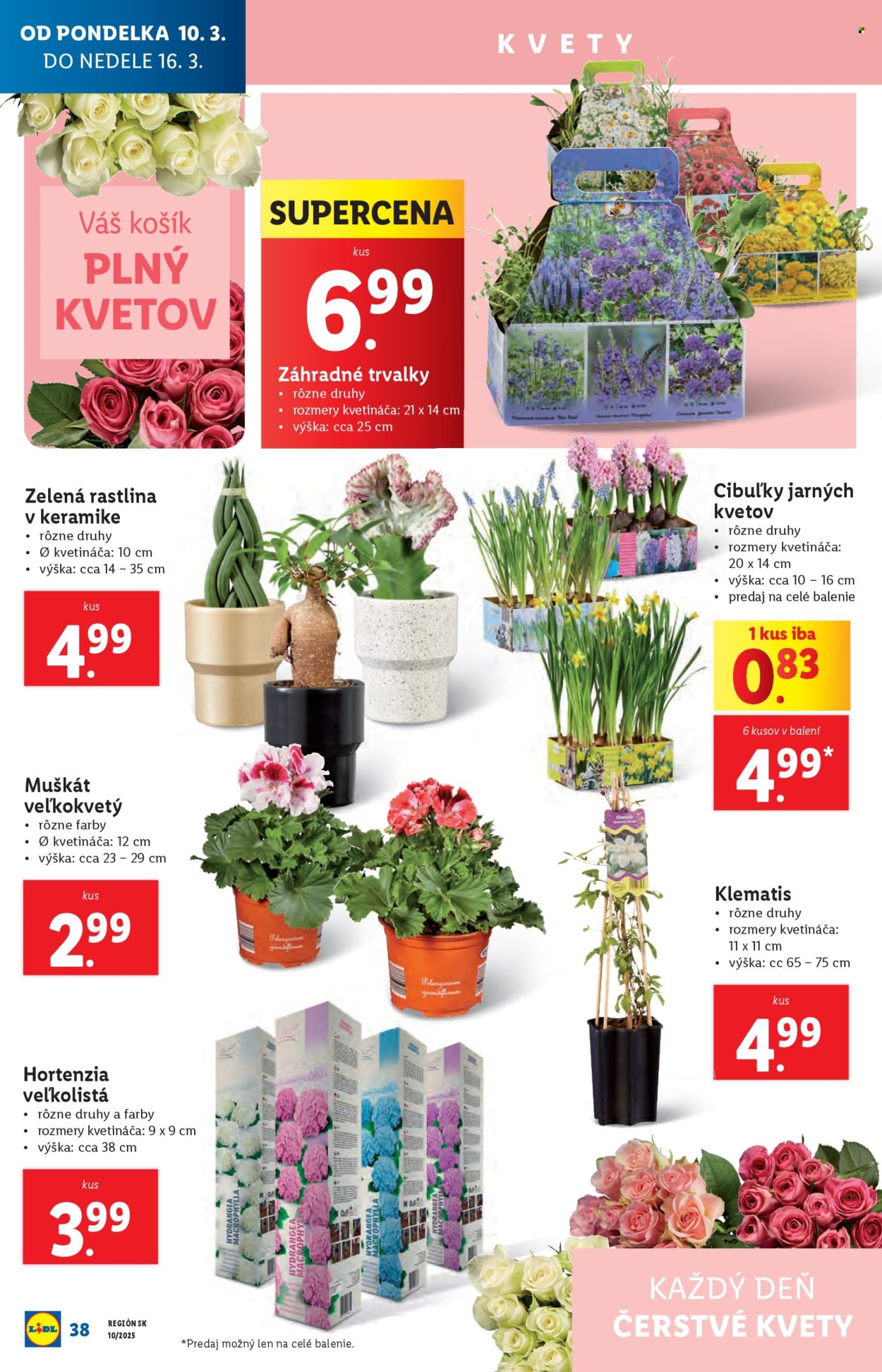 Leták Lidl - 10.3.2025 - 16.3.2025. Strana 38