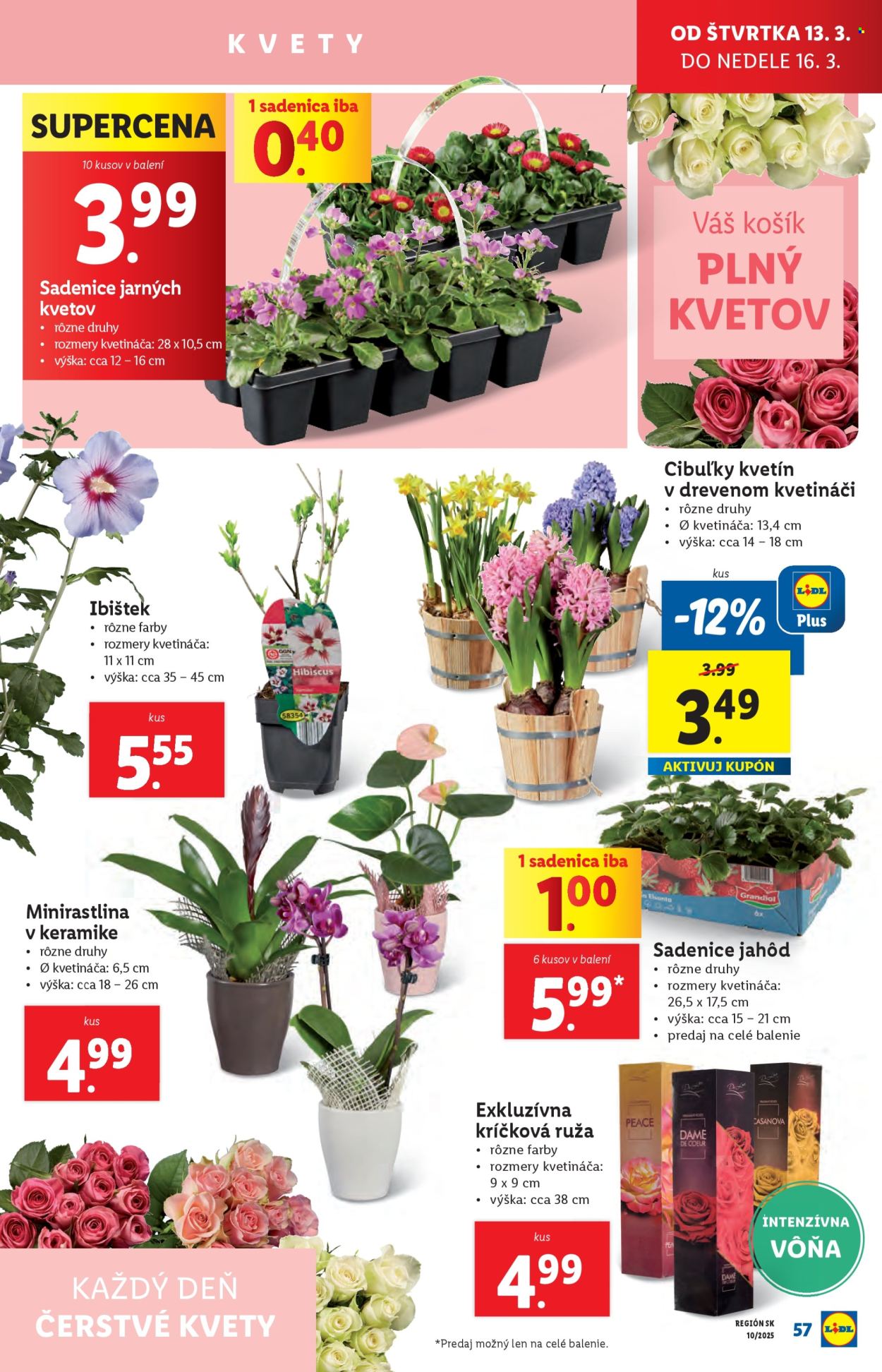 Leták Lidl - 10.3.2025 - 16.3.2025. Strana 59