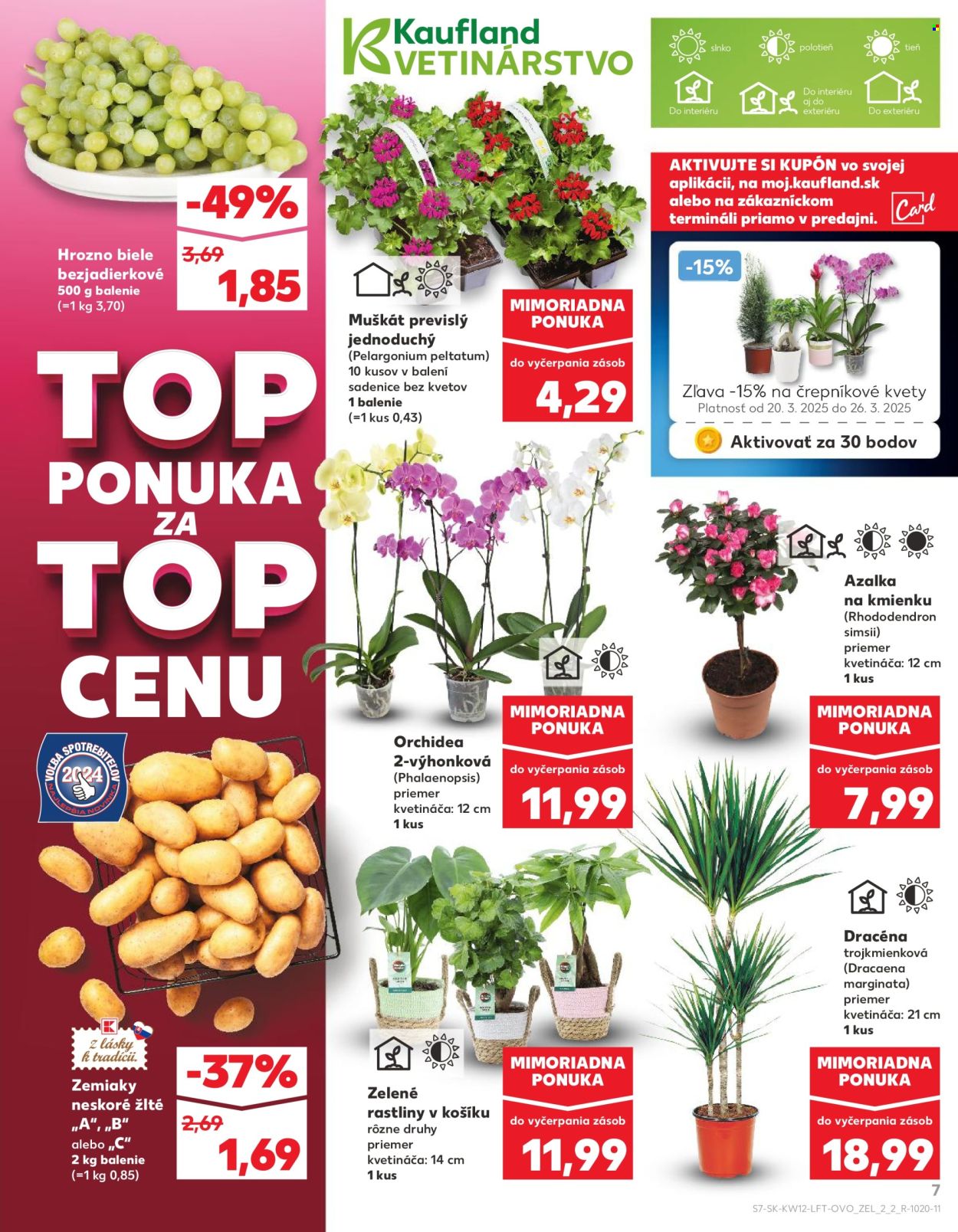 Leták Kaufland - 20.3.2025 - 26.3.2025. Strana 7