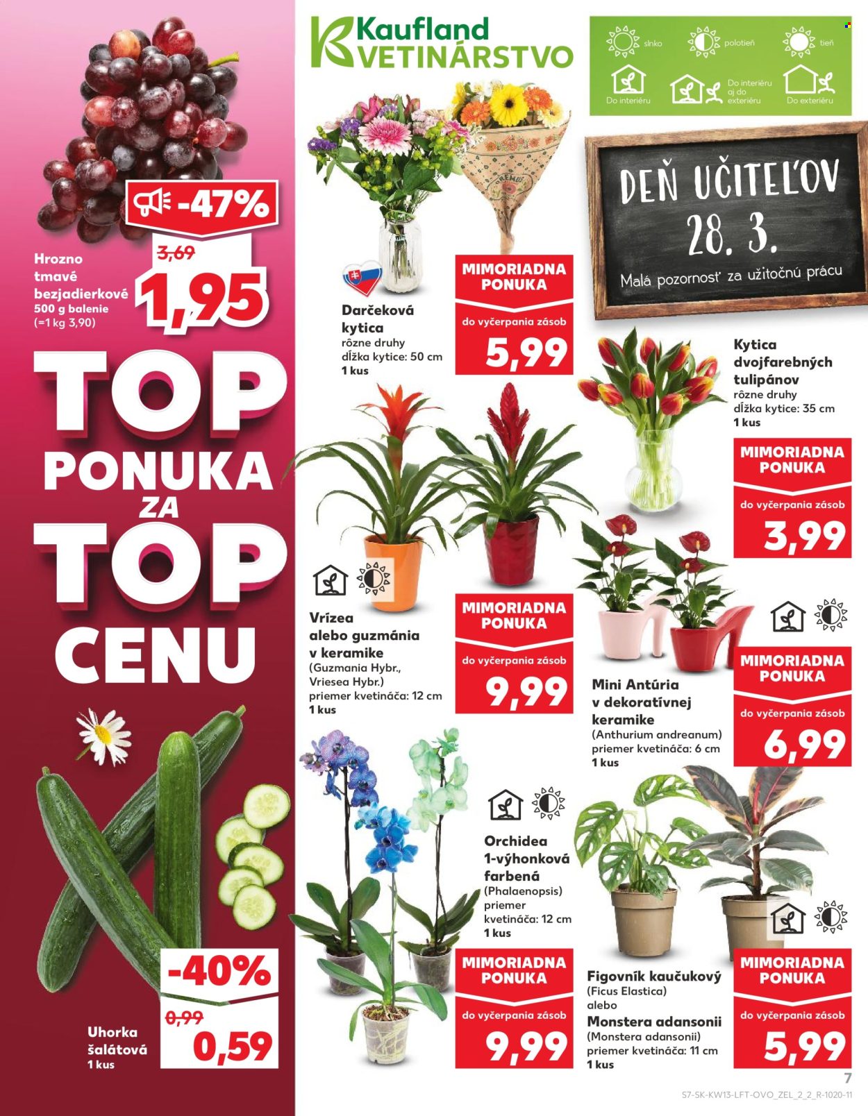 Leták Kaufland - 27.3.2025 - 2.4.2025. Strana 7