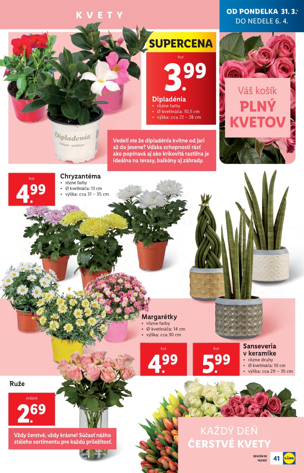Leták Lidl - 31.3.2025 - 6.4.2025. Strana 45