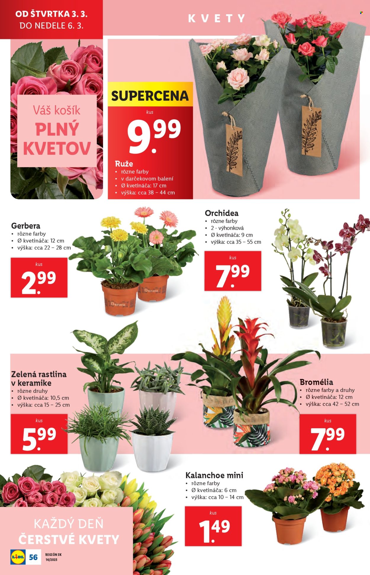 Leták Lidl - 31.3.2025 - 6.4.2025. Strana 62