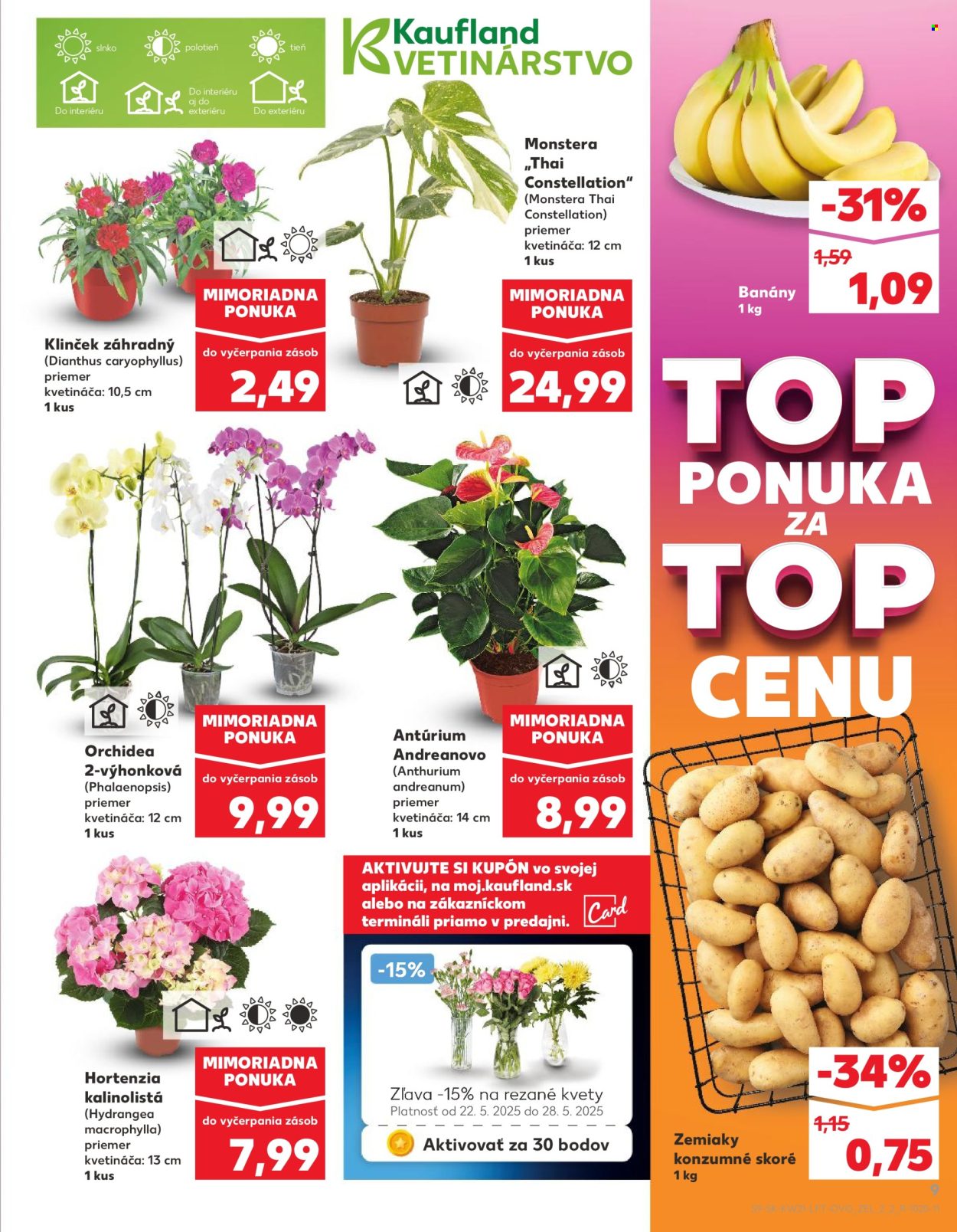 Leták Kaufland - 22.5.2025 - 28.5.2025. Strana 9