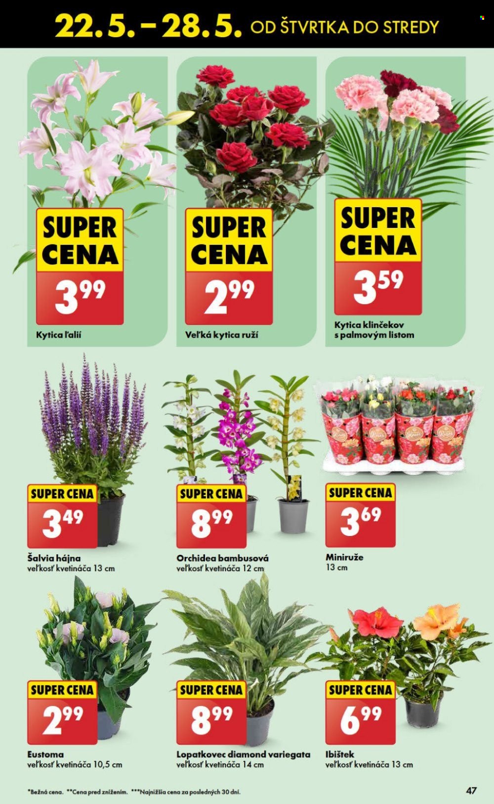 Leták Biedronka - 22.5.2025 - 28.5.2025. Strana 47