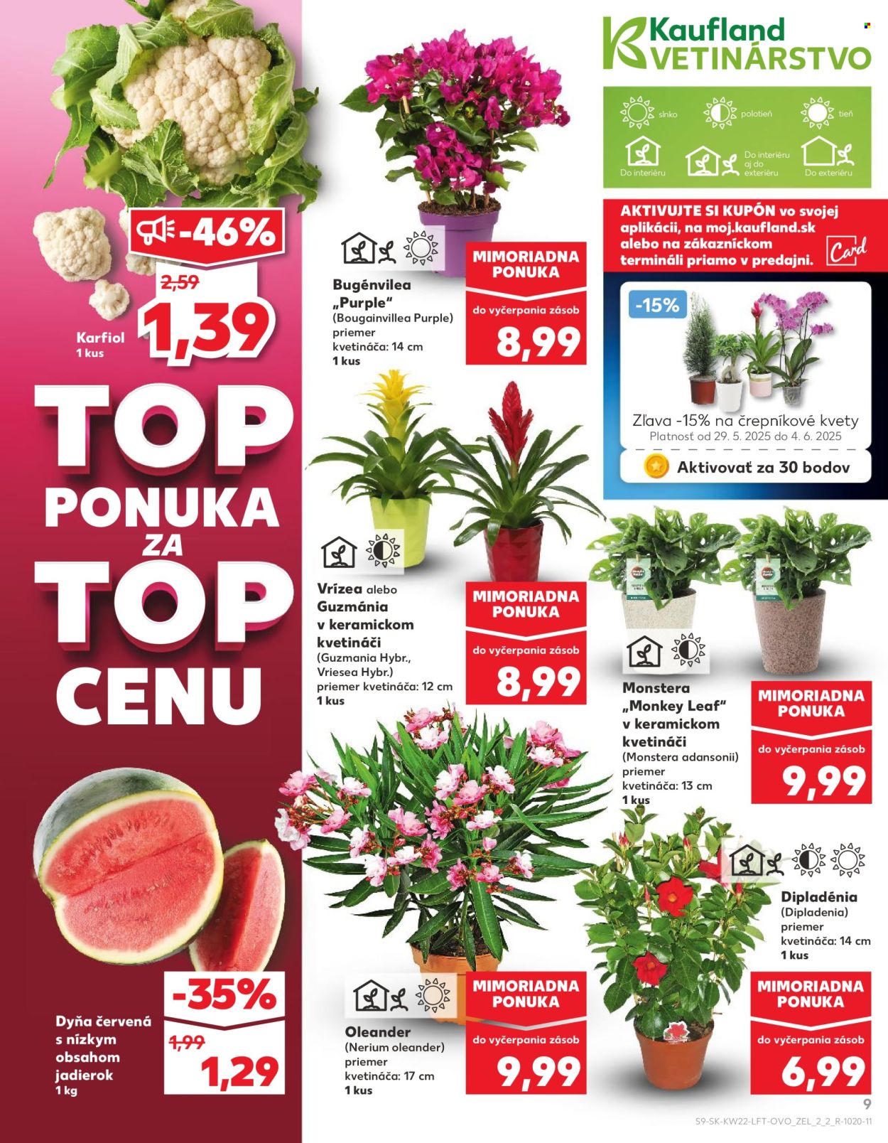 Leták Kaufland - 29.5.2025 - 4.6.2025. Strana 9