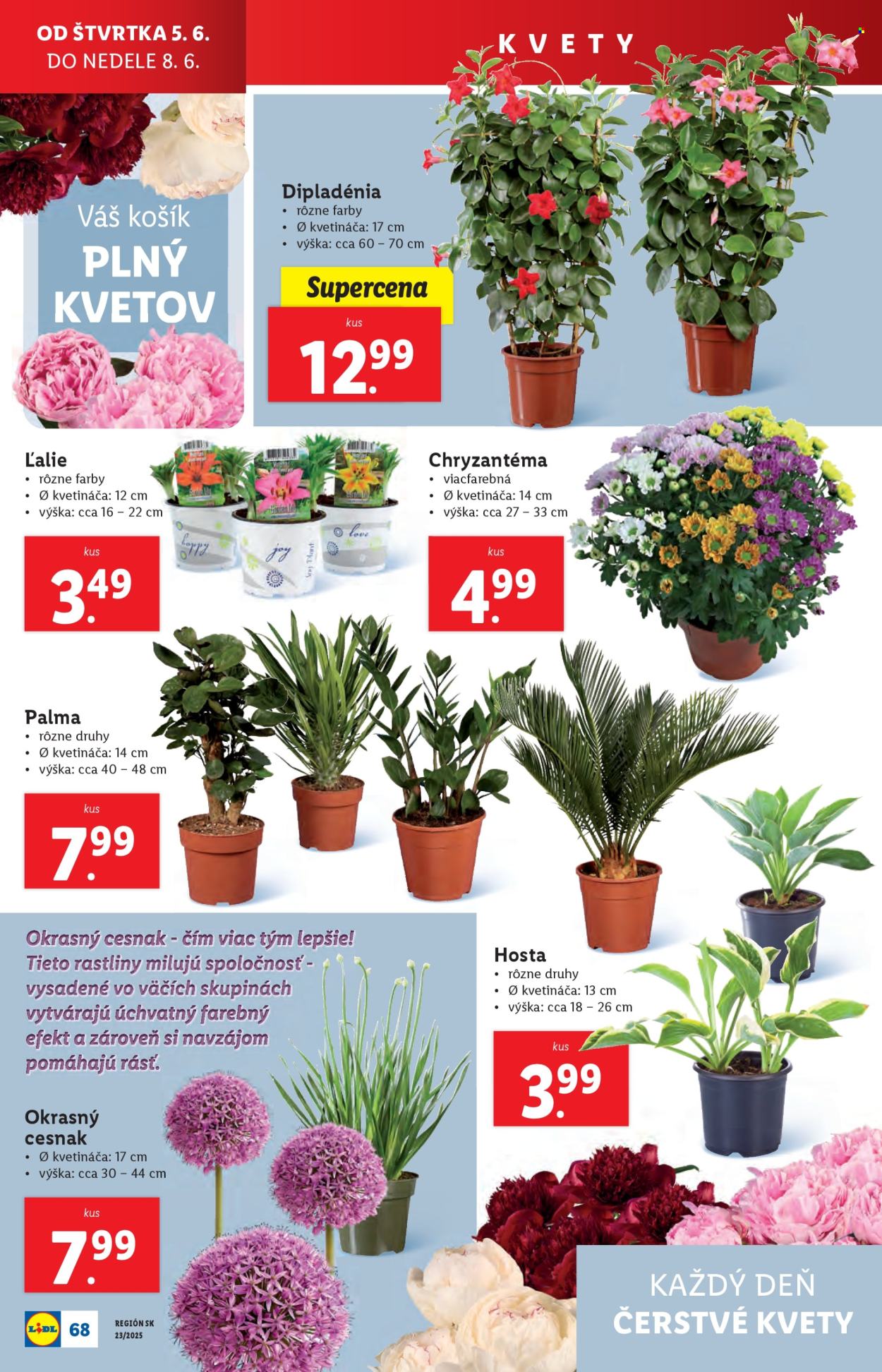 Leták Lidl - 2.6.2025 - 8.6.2025. Strana 88