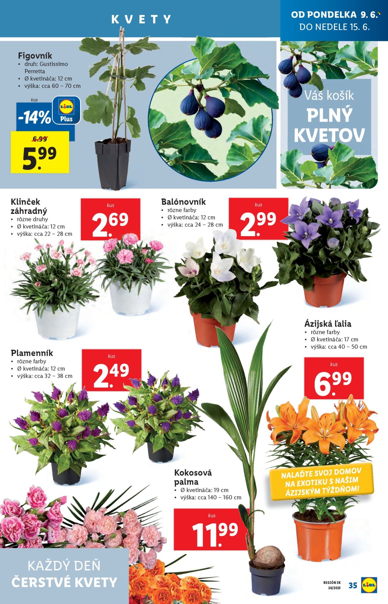 Leták Lidl - 9.6.2025 - 15.6.2025. Strana 39