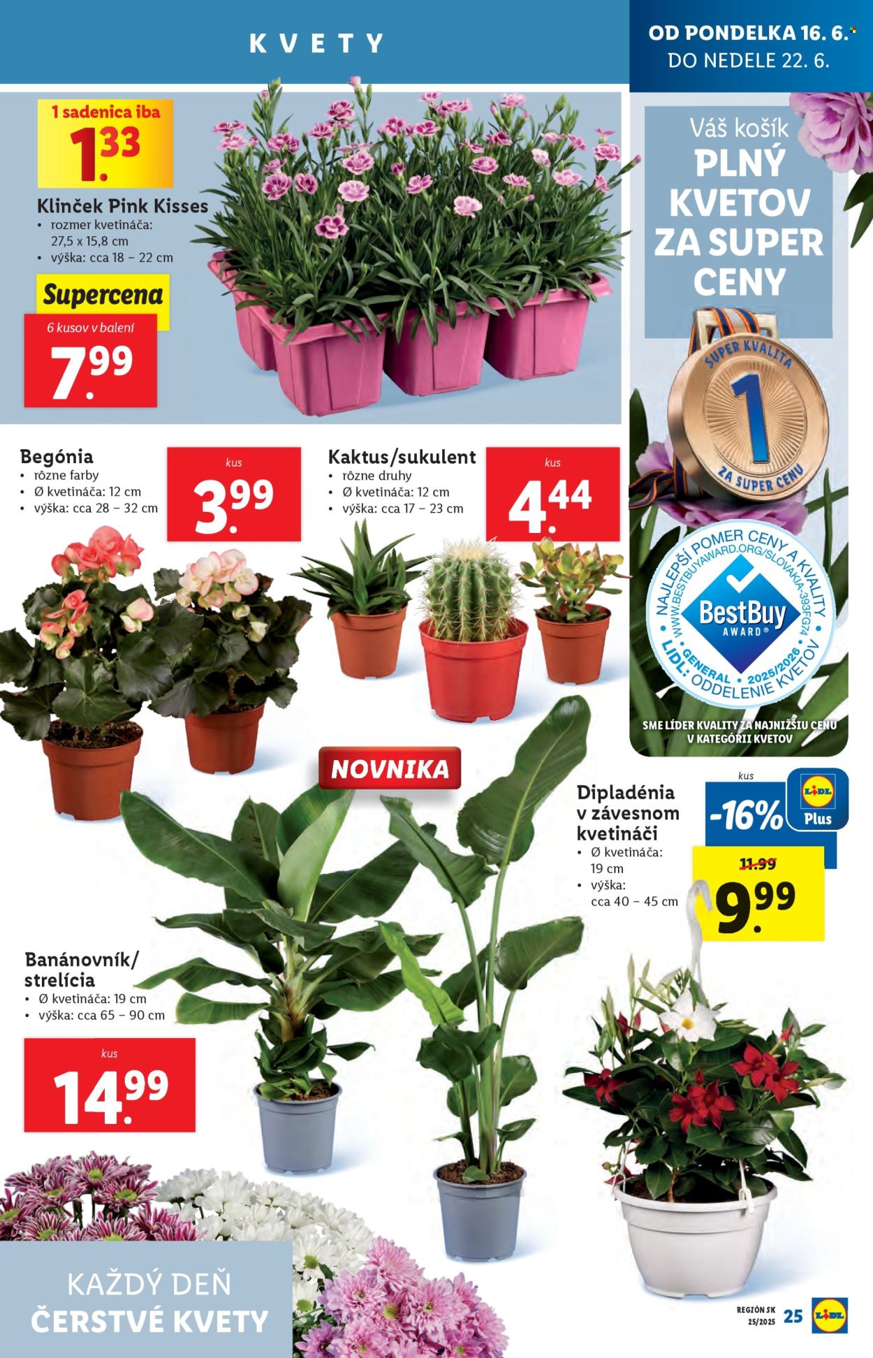 Leták Lidl - 16.6.2025 - 22.6.2025. Strana 29