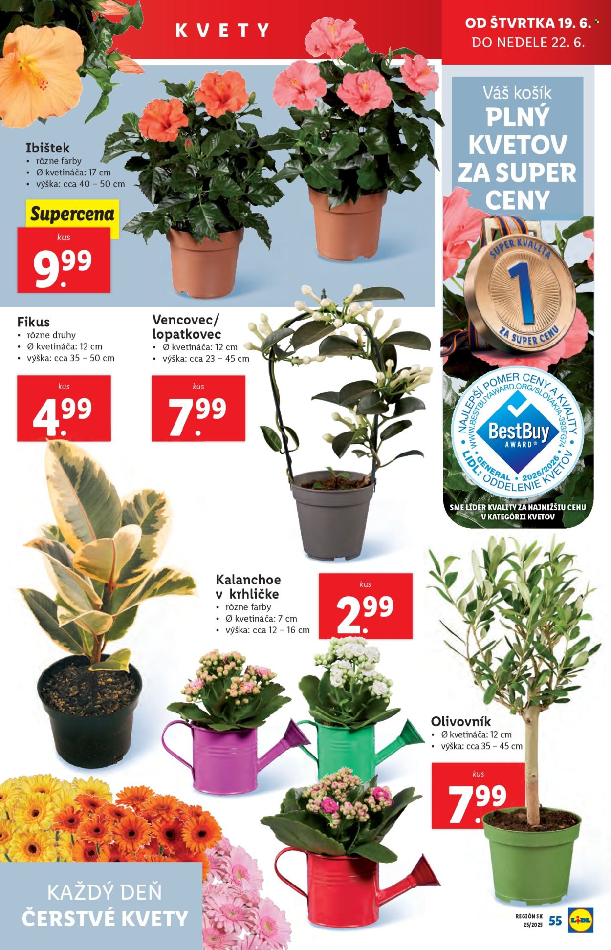 Leták Lidl - 16.6.2025 - 22.6.2025. Strana 77