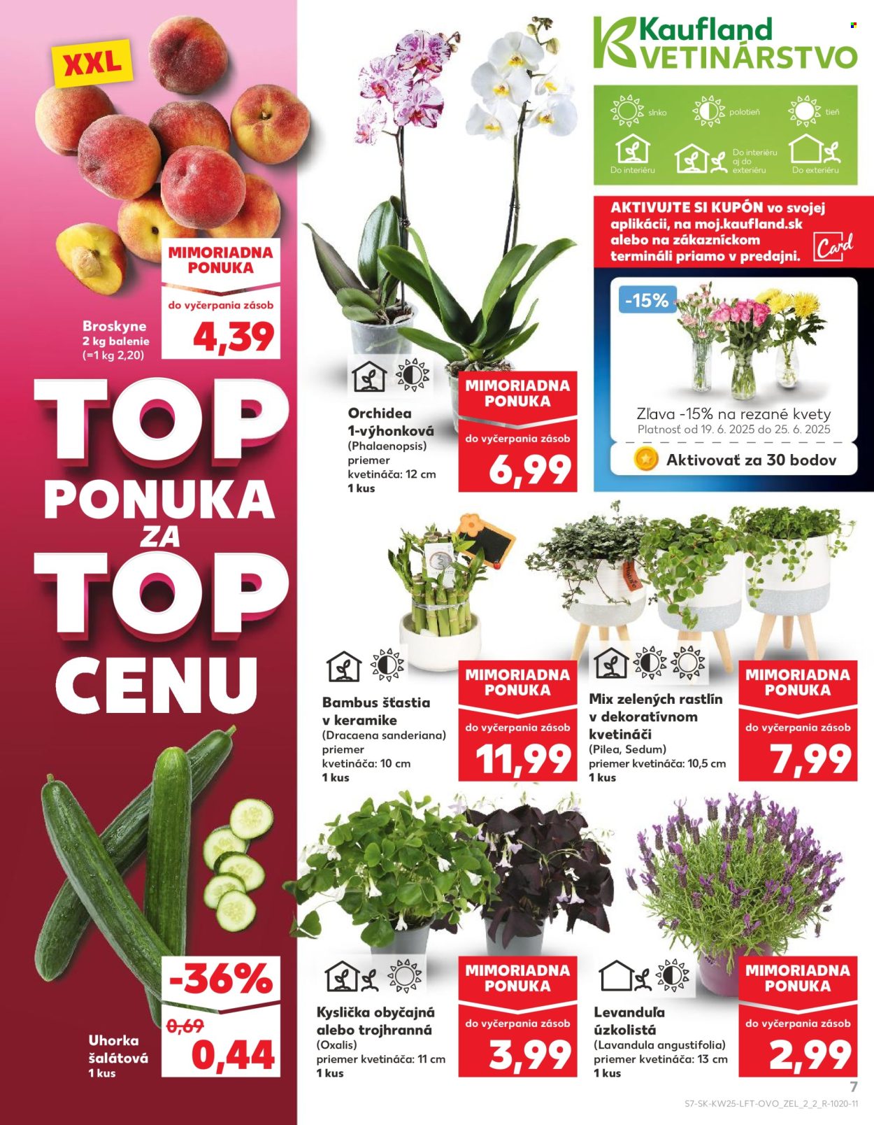 Leták Kaufland - 19.6.2025 - 25.6.2025. Strana 7