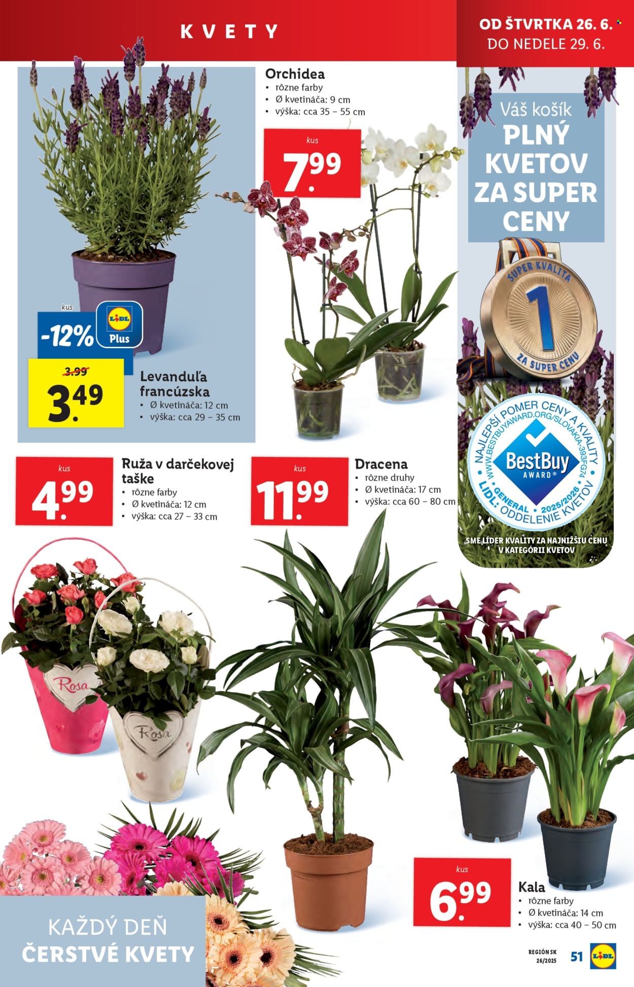 Leták Lidl - 23.6.2025 - 29.6.2025. Strana 67