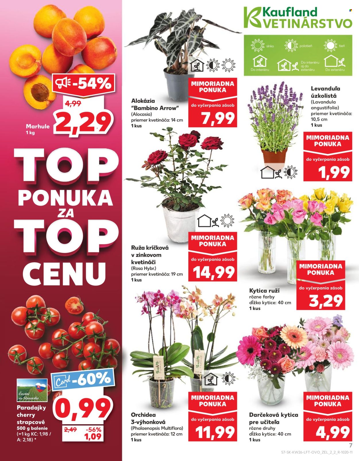 Leták Kaufland - 26.6.2025 - 2.7.2025. Strana 7
