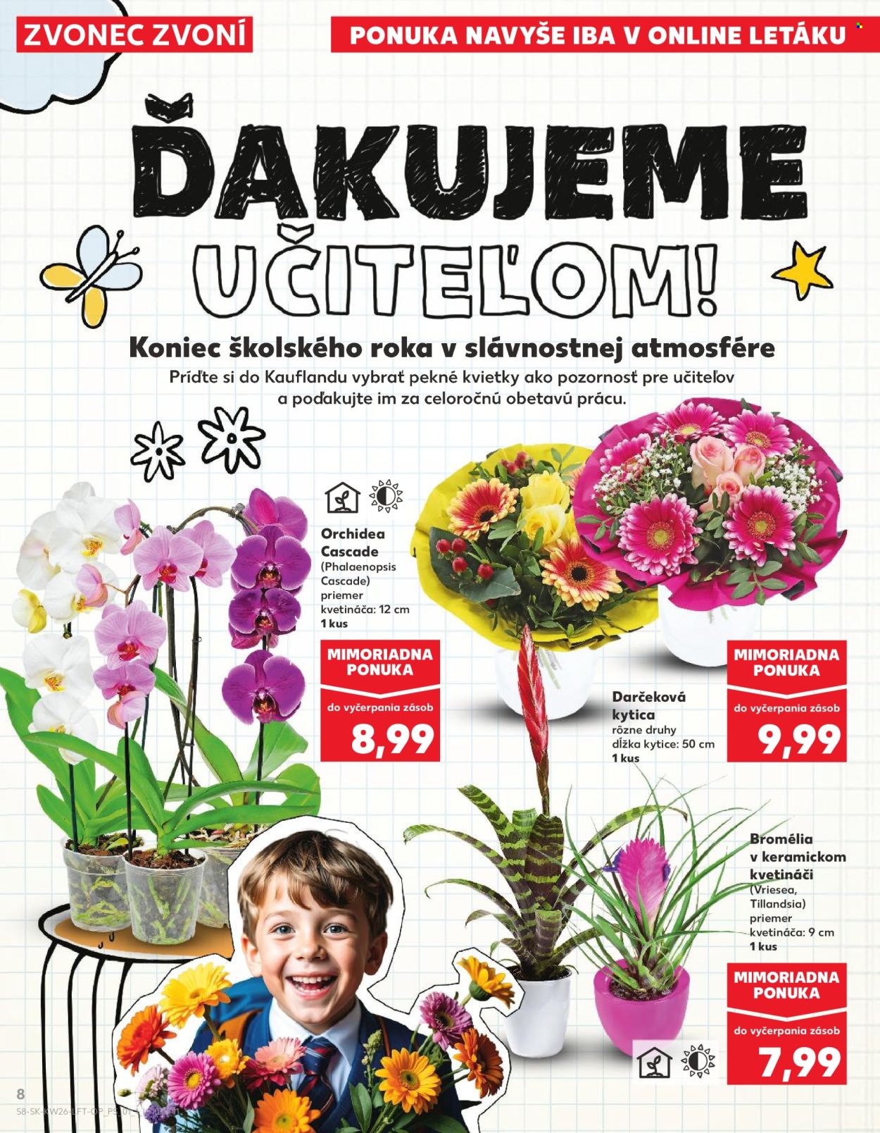 Leták Kaufland - 26.6.2025 - 2.7.2025. Strana 8
