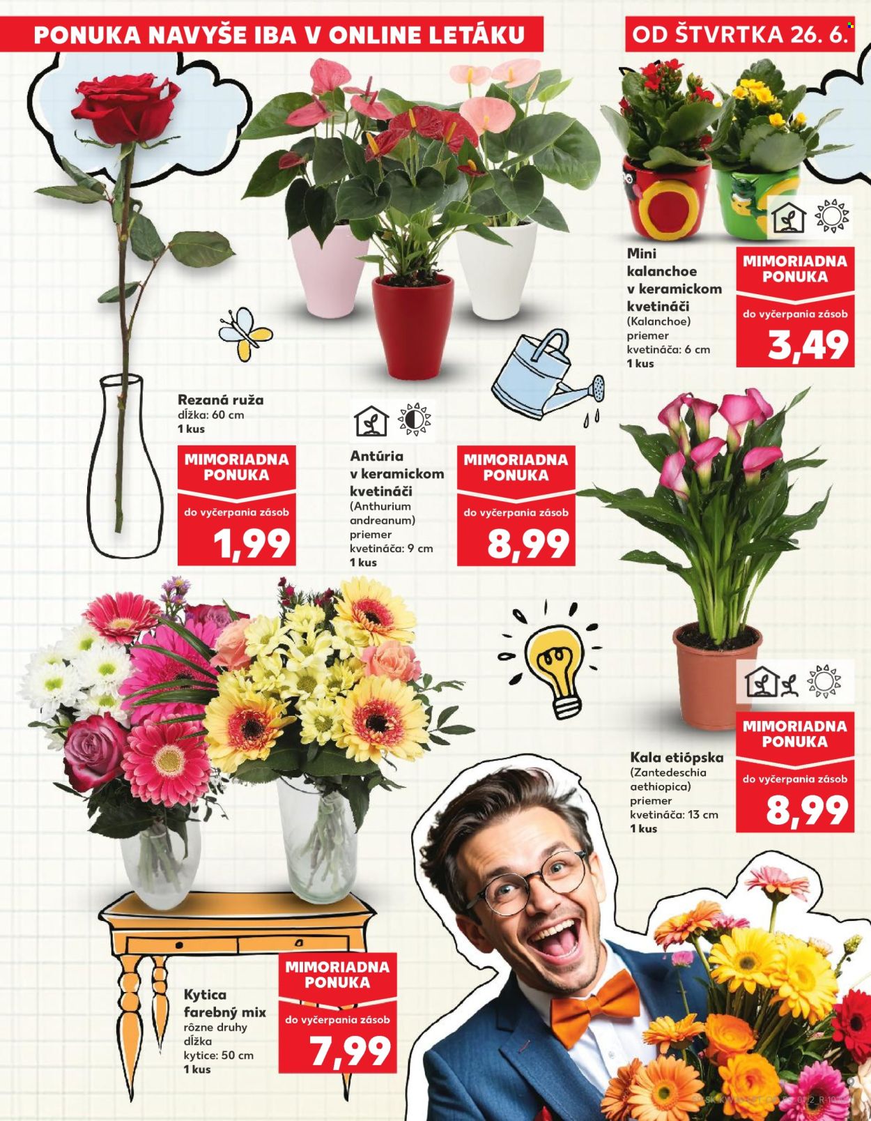Leták Kaufland - 26.6.2025 - 2.7.2025. Strana 9