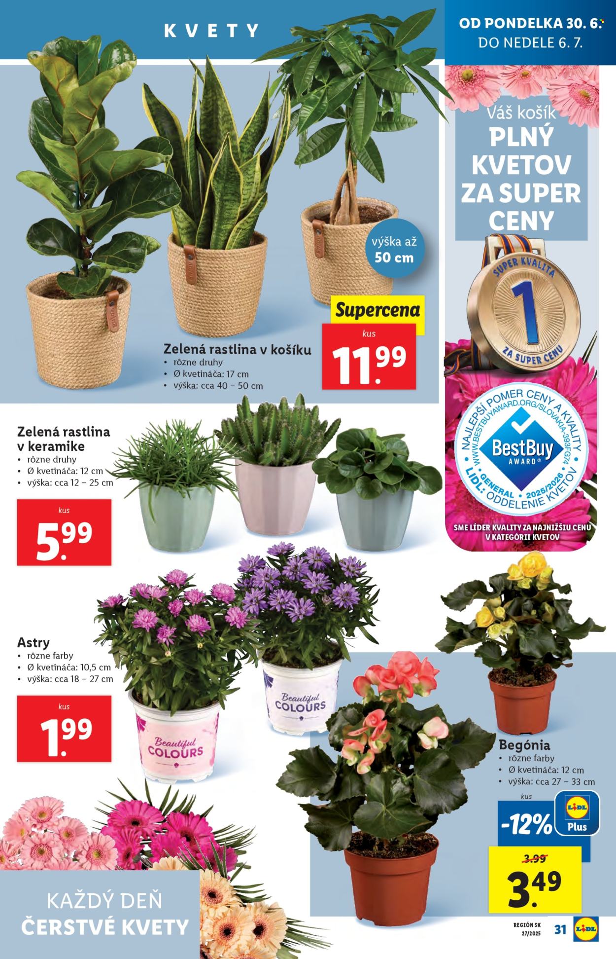 Leták Lidl - 30.6.2025 - 6.7.2025. Strana 39