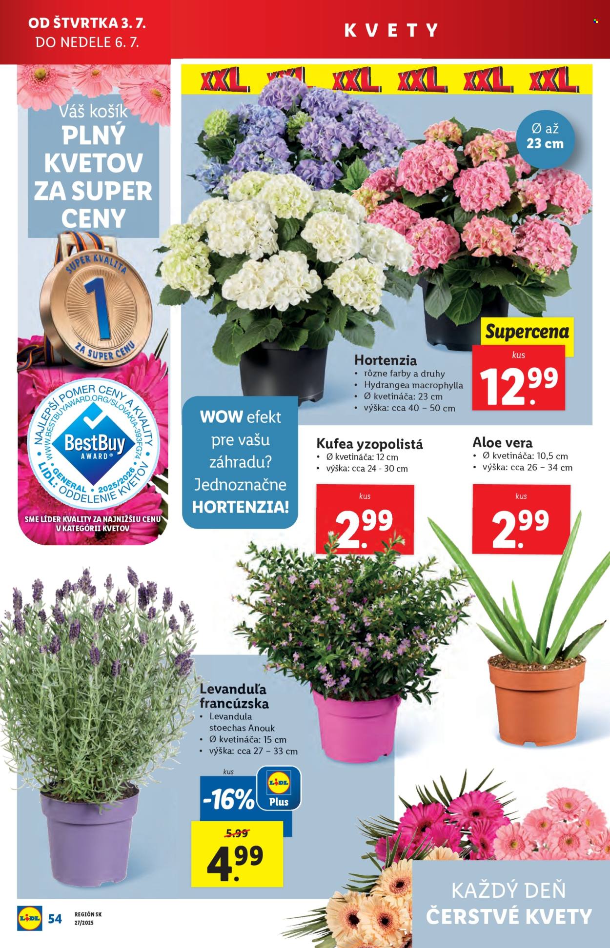 Leták Lidl - 30.6.2025 - 6.7.2025. Strana 70