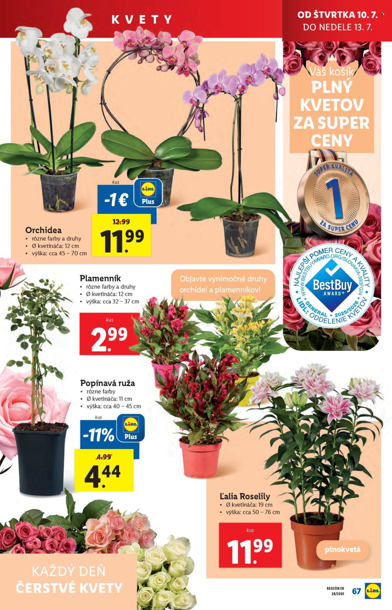 Leták Lidl - 7.7.2025 - 13.7.2025. Strana 79