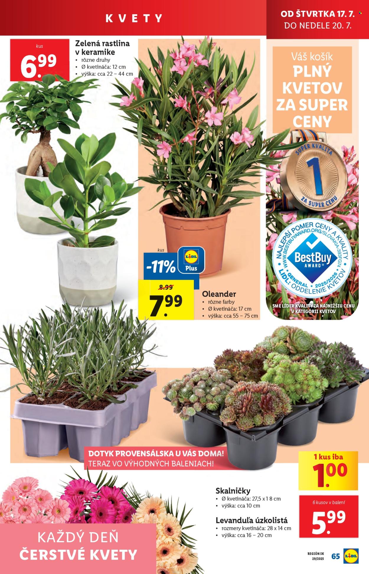 Leták Lidl - 14.7.2025 - 20.7.2025. Strana 77