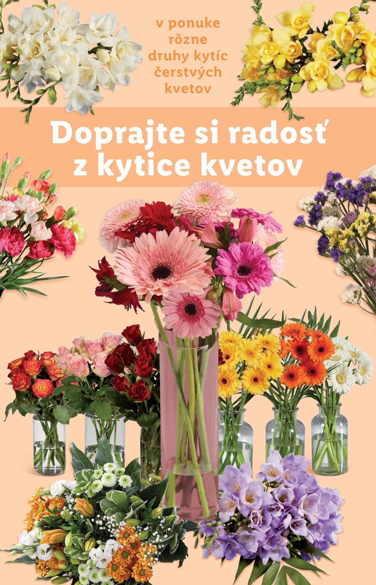 Leták Lidl - 21.7.2025 - 27.7.2025. Strana 42