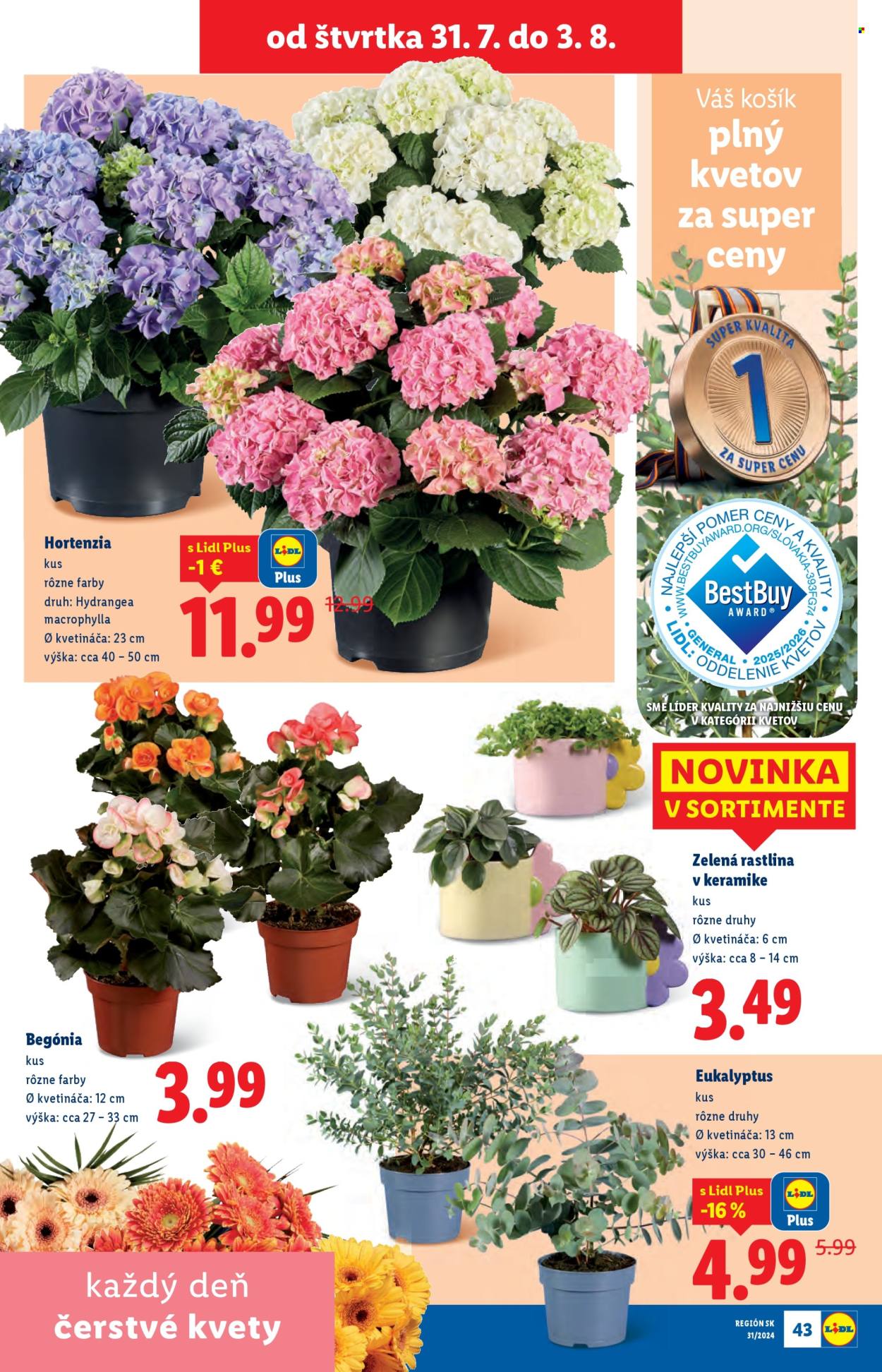 Leták Lidl - 28.7.2025 - 3.8.2025. Strana 67