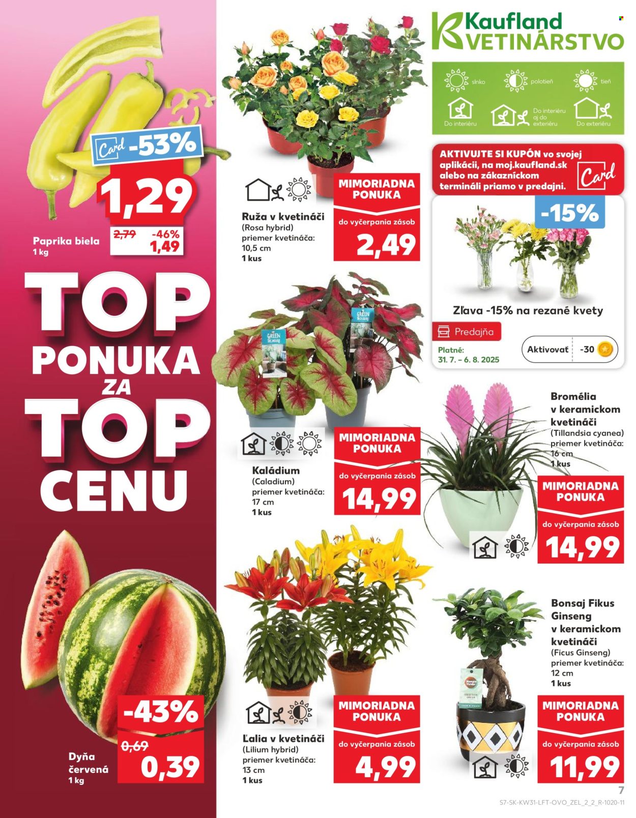 Leták Kaufland - 31.7.2025 - 6.8.2025. Strana 7
