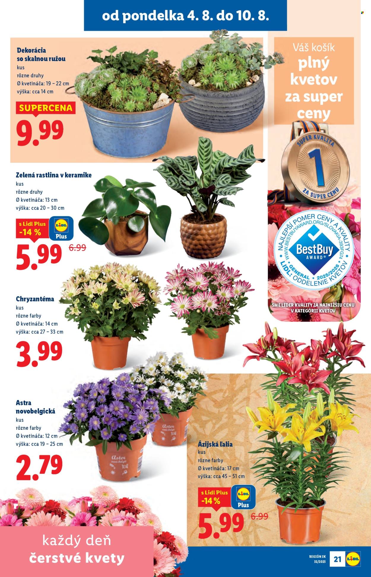 Leták Lidl - 4.8.2025 - 10.8.2025. Strana 23