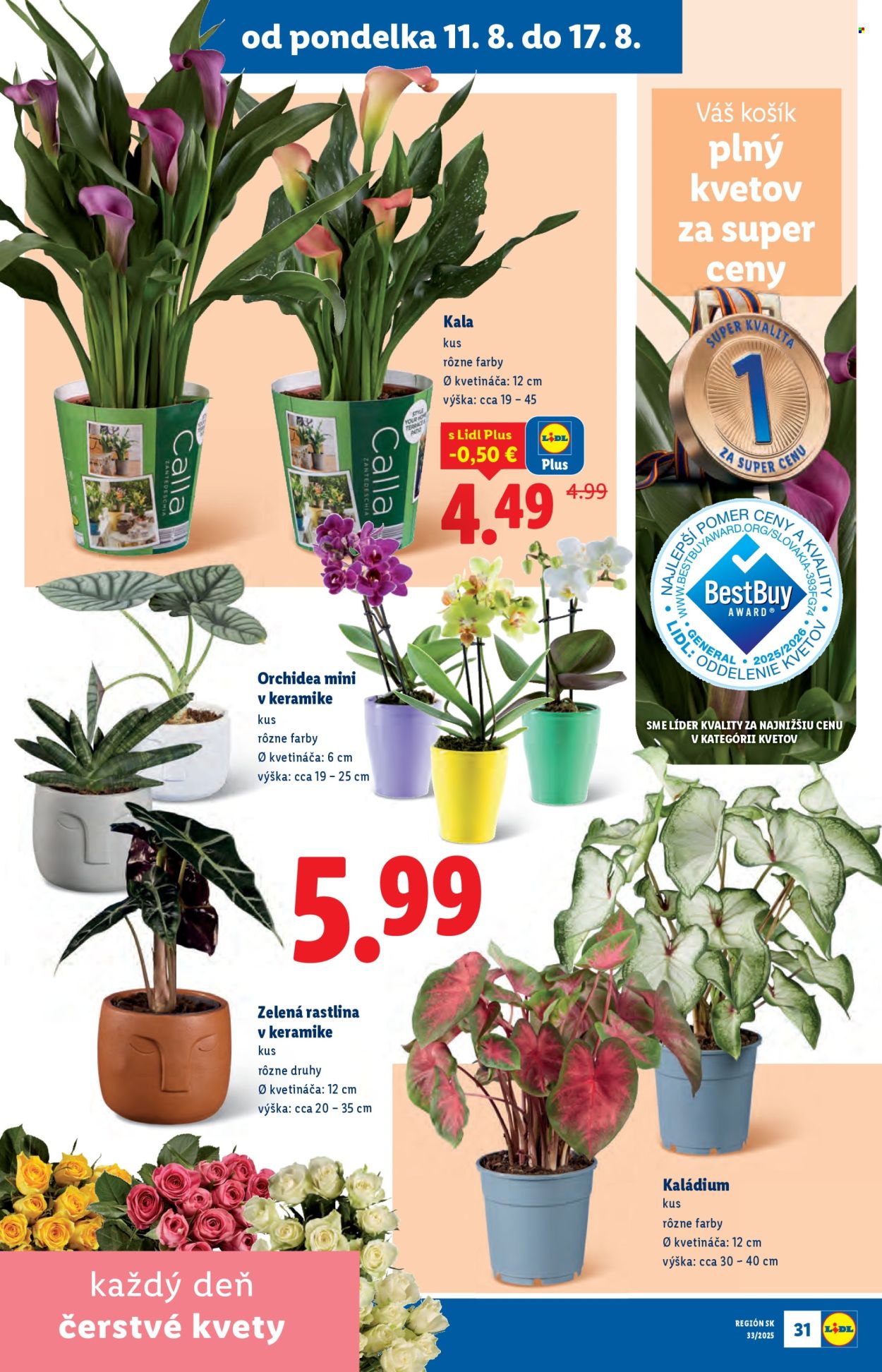 Leták Lidl - 11.8.2025 - 17.8.2025. Strana 33