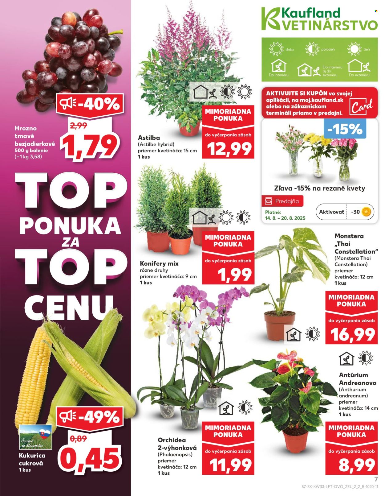 Leták Kaufland - 14.8.2025 - 20.8.2025. Strana 7