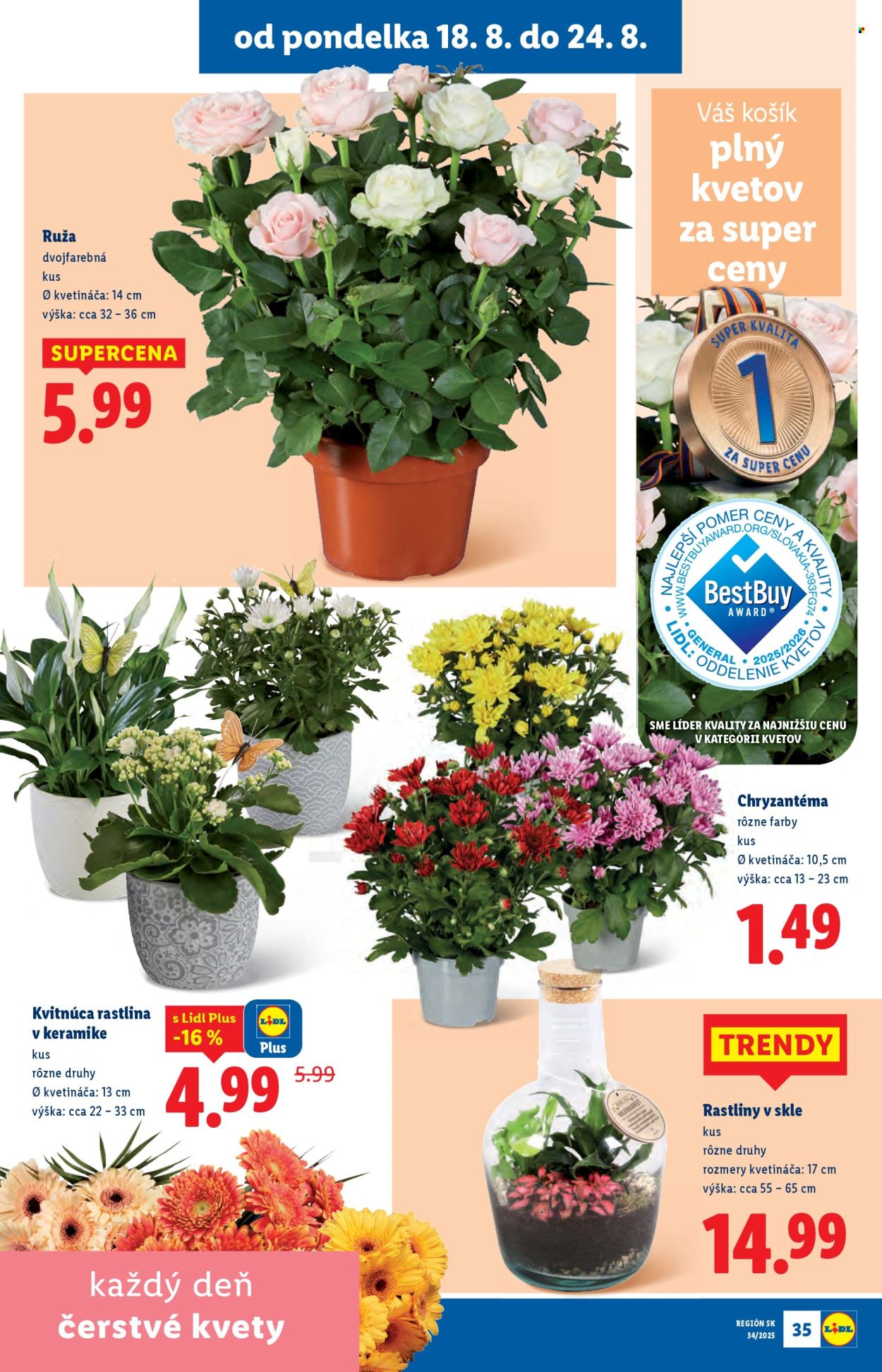 Leták Lidl - 18.8.2025 - 24.8.2025. Strana 41