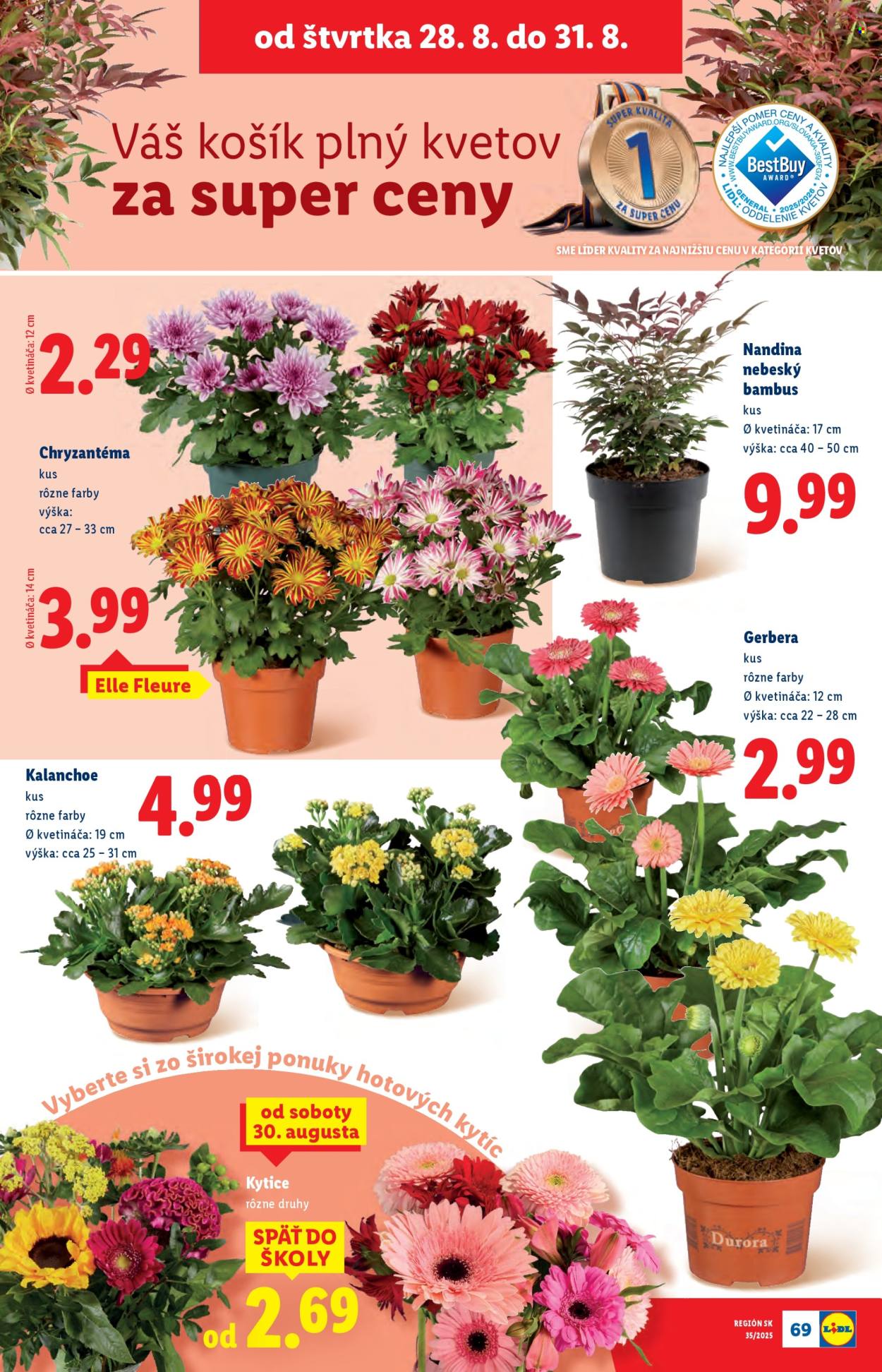 Leták Lidl - 25.8.2025 - 31.8.2025. Strana 79