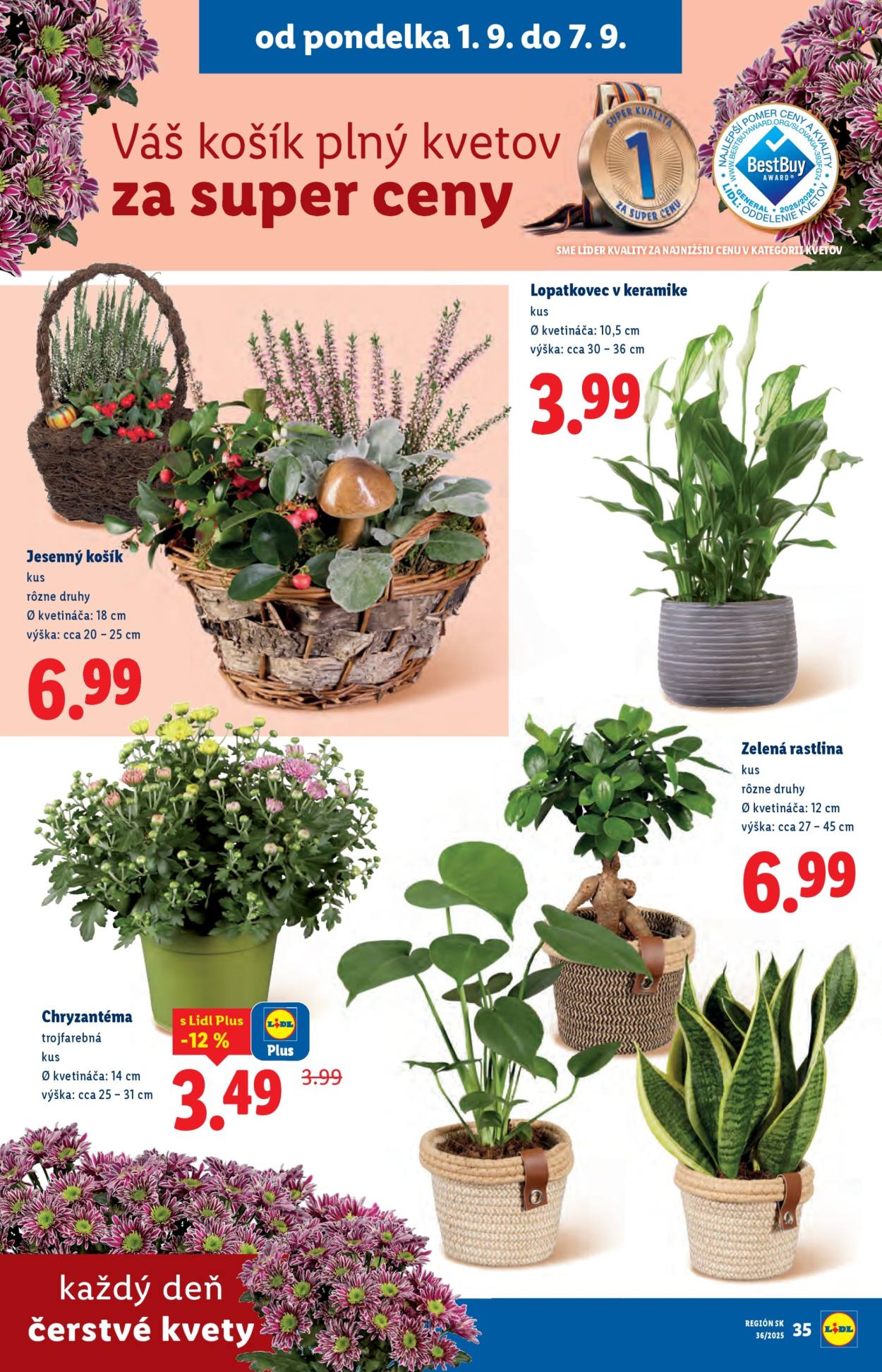 Leták Lidl - 1.9.2025 - 7.9.2025. Strana 45