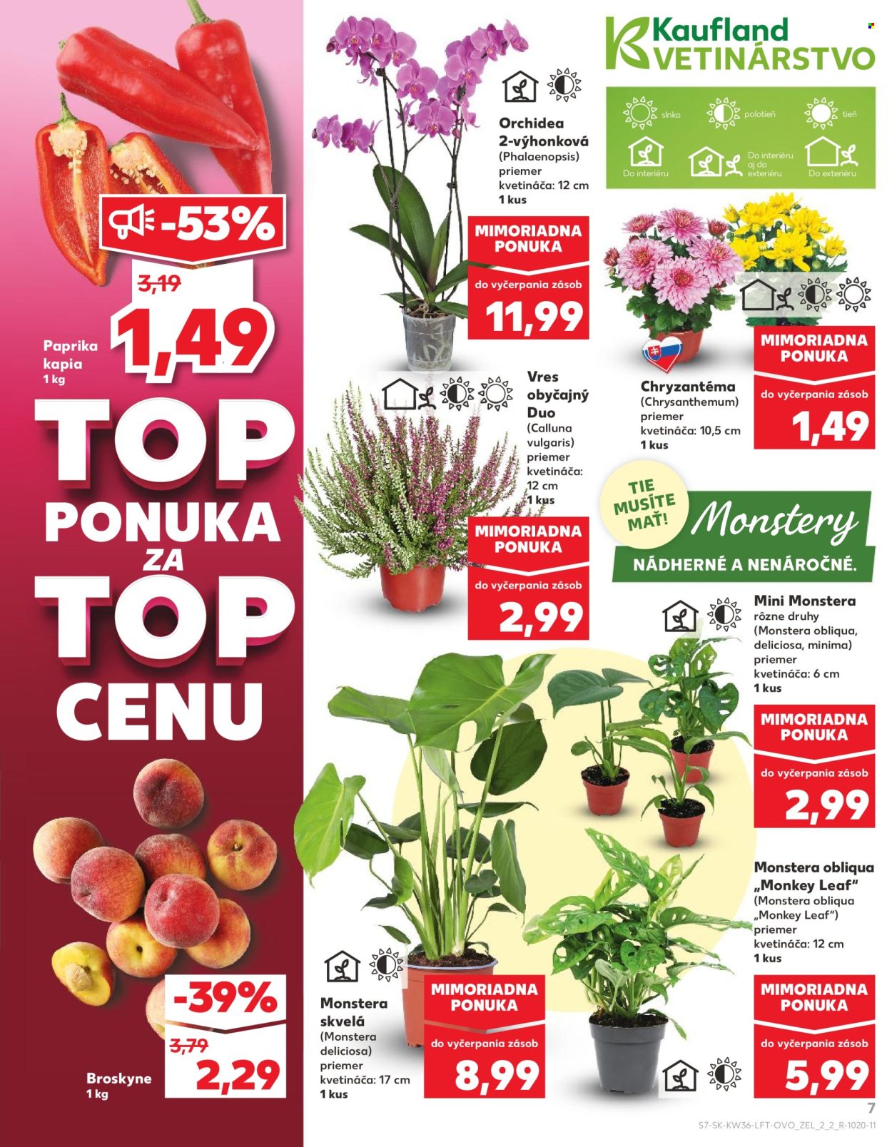 Leták Kaufland - 4.9.2025 - 10.9.2025. Strana 7