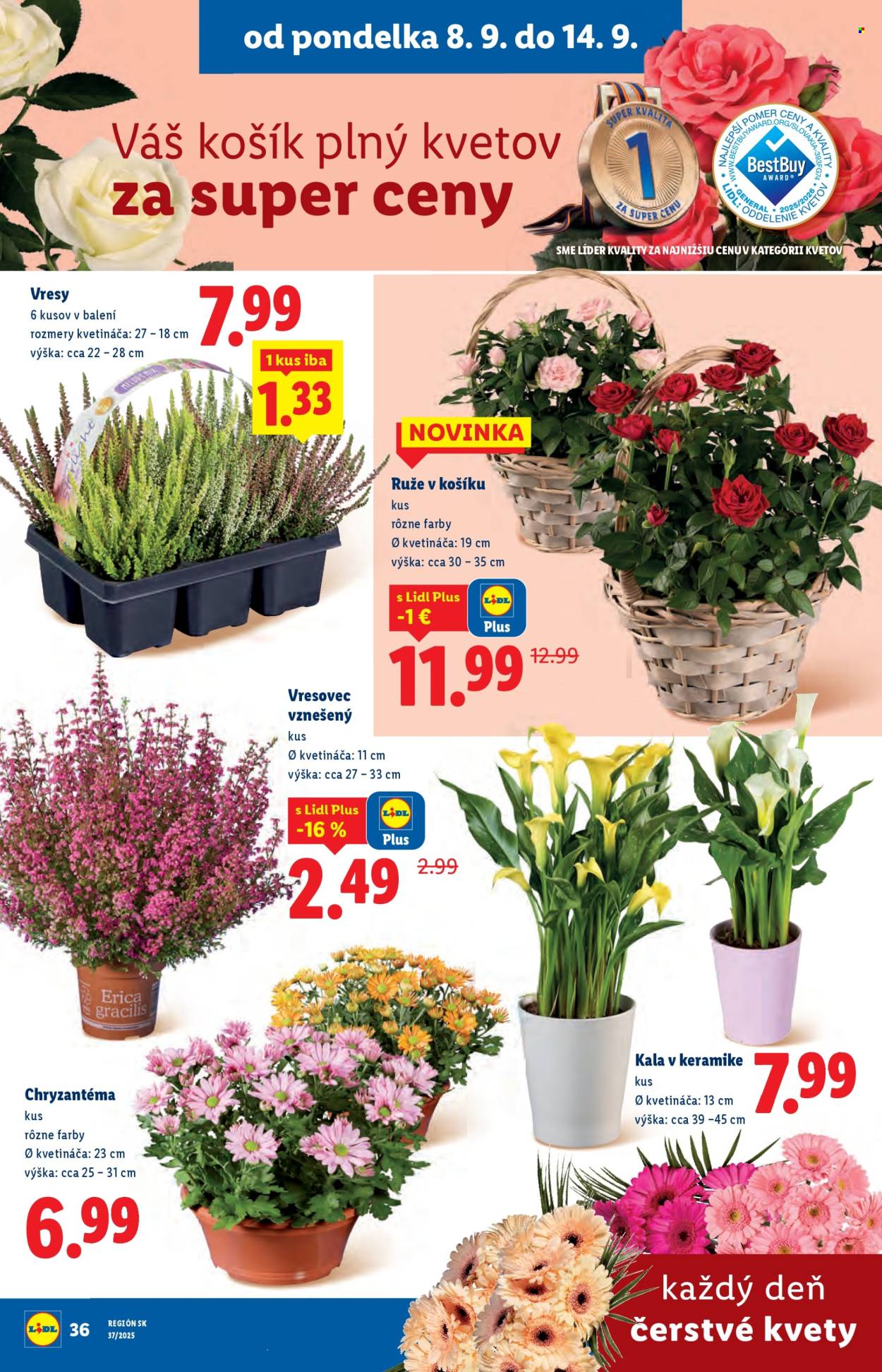 Leták Lidl - 8.9.2025 - 14.9.2025. Strana 44