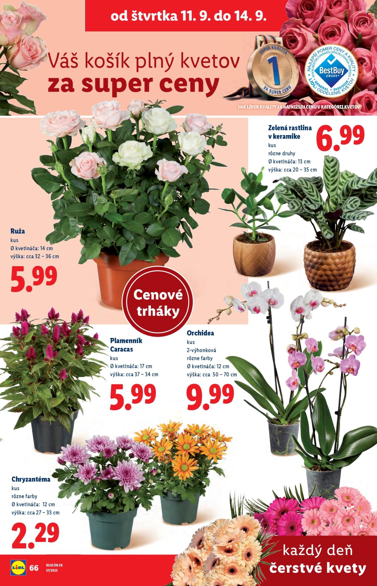 Leták Lidl - 8.9.2025 - 14.9.2025. Strana 80