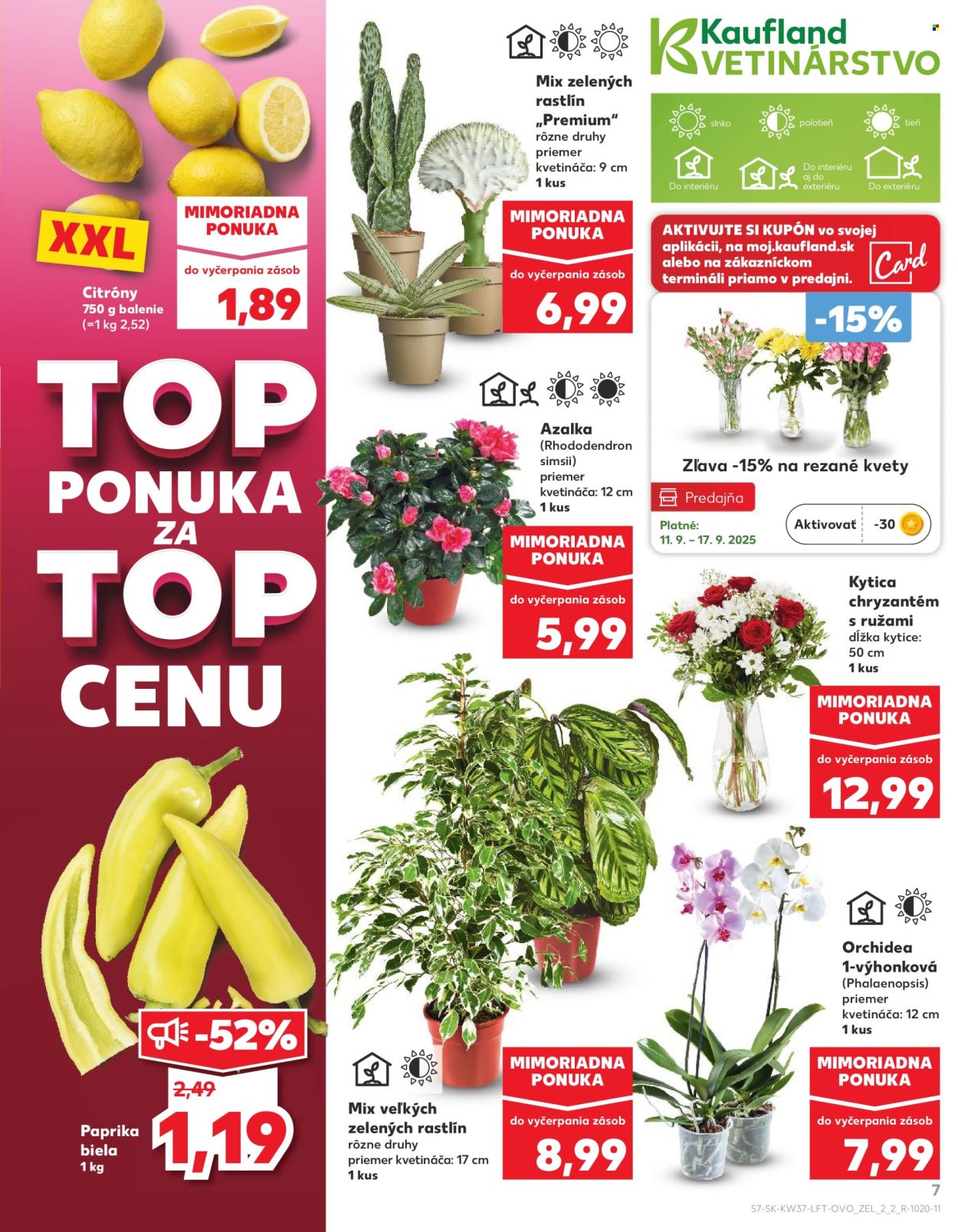 Leták Kaufland - 11.9.2025 - 17.9.2025. Strana 7