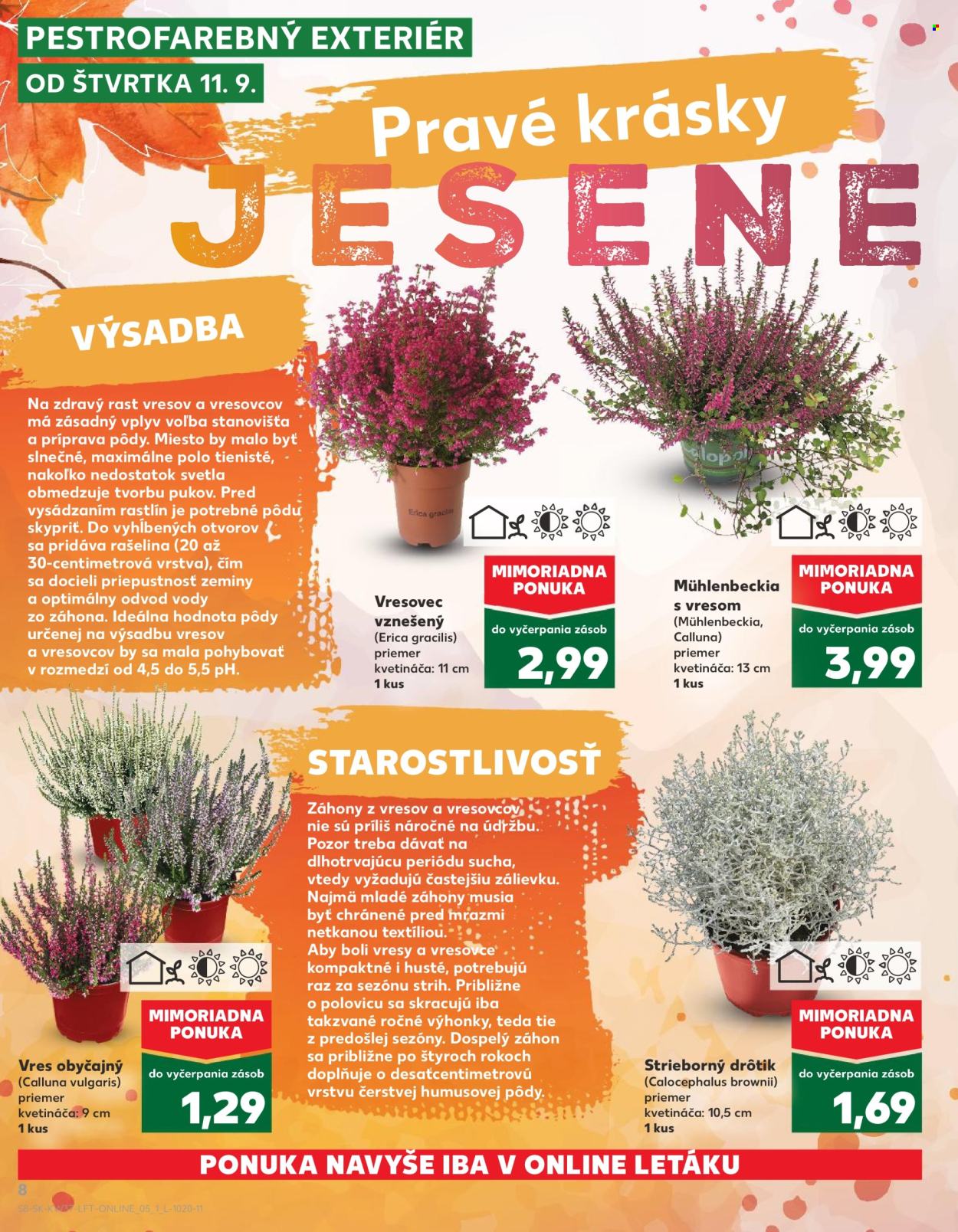 Leták Kaufland - 11.9.2025 - 17.9.2025. Strana 8
