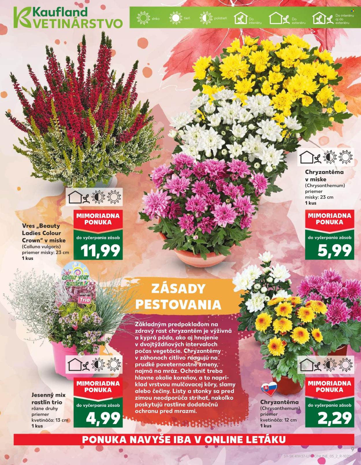 Leták Kaufland - 11.9.2025 - 17.9.2025. Strana 9