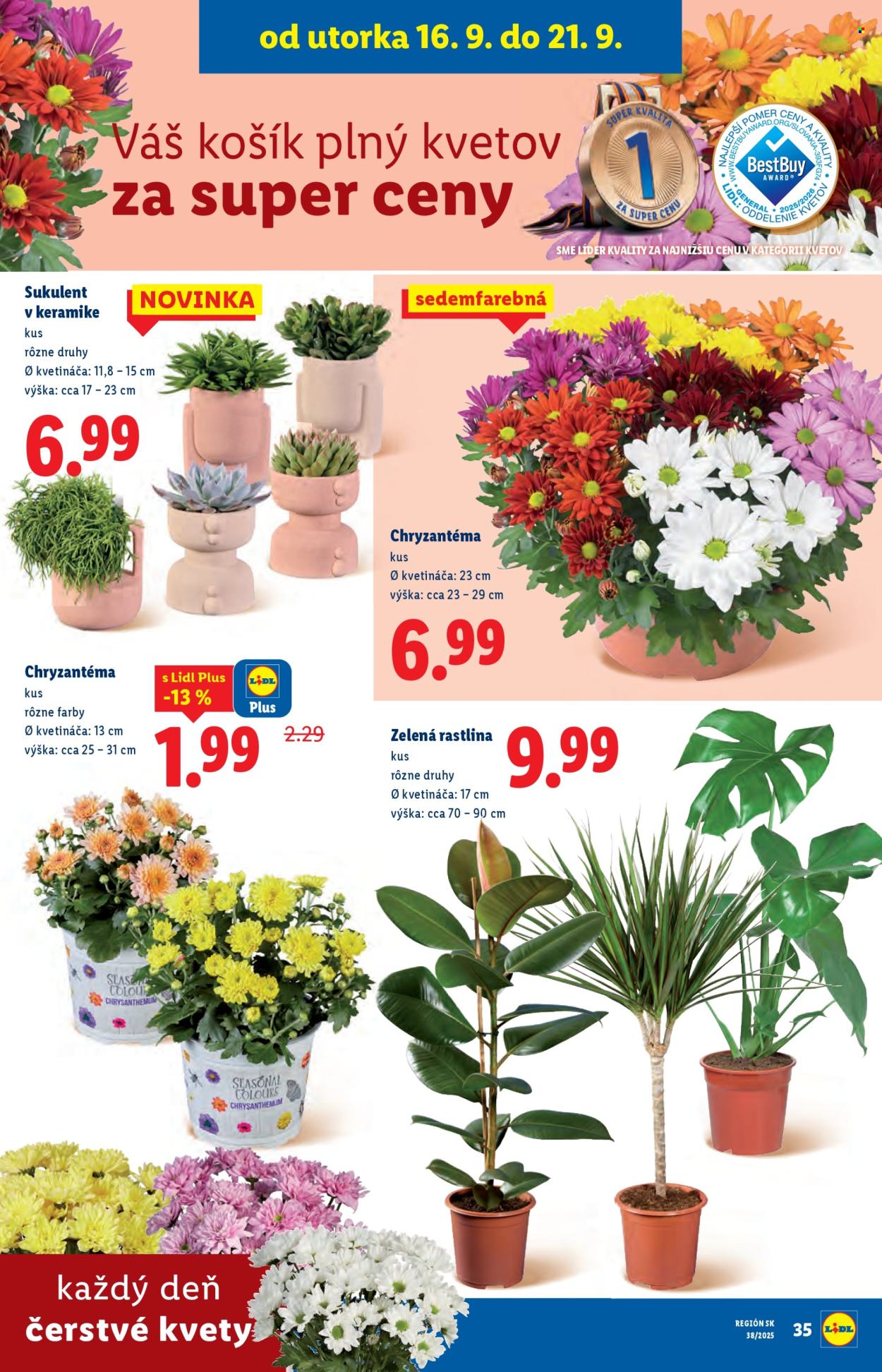 Leták Lidl - 16.9.2025 - 21.9.2025. Strana 50