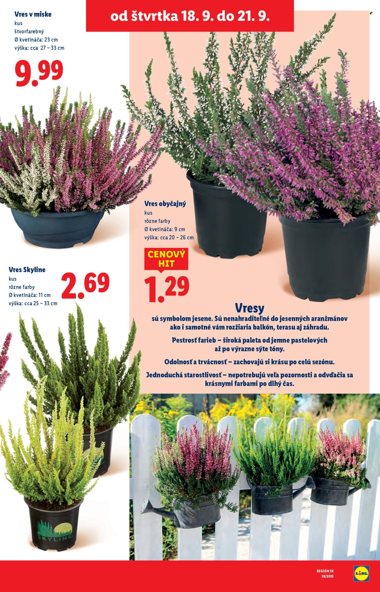 Leták Lidl - 16.9.2025 - 21.9.2025. Strana 89